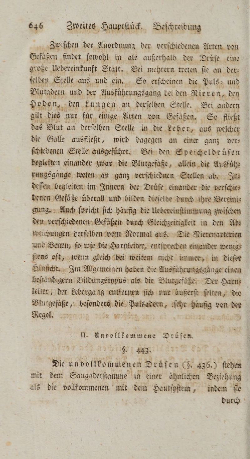 Zdwiſchen der Anordnung der derſchiedenen Arten von Sefüßen findet ſowohl in als außerhald der Druſe eine große uebereinkunft Statt. Bei mehrern treten fie an der: felben ‚Stelle aus und ein. So erſcheinen die Puls- und Blutadern und der Ausführungsgang bei den Nieten, den es oden, den Lu Agen. an derſelden Stelle. Bei andern 8 nur für einige Arten don Gefaßen. So Richt Blut an derſelben Stelle in die teder, us welcher die Galle ausfließt, wird dagegen an einer ganz ver⸗ ſchiedenen Stelle ausgeführt. Bei den Speicheldruͤſen begleiten einander zwar die Blutgefäße, allein die Ausfuͤh⸗ rungsgaͤnge treten an ganz verſchiednen Stellen ab. In; deſſen begleiten im Innern der Druͤſe einander die verſchie⸗ denen Gefäße uͤberall und bilden dieſelde dudch ihre Vereini⸗ gung., Auch ſpricht ſich Häufig die Uebereinstimmung zwischen den verſchiedenen Gefaͤßen durch Gleichzeitigkeit in den Ab? weichungen derſelben vom Normal aus. Die Nierenarterien i ad Venen, fo wie die Harnleiter, entſprecden einander wenig⸗ s jens oft, wenn gleich bei weitem nicht immer, in dieſer Dinſicht. Im Allgemeinen haben die Ausfuͤhrungsgaͤnge einen beſtaͤndigern Bildungstypus als die Blutgefäße. Der Harn⸗ | leiter, der Lebergang entfernen ſich nur zußerſt ſelten, die e hee e eee W | Regel. N 20 or 2 22 ” 2 II. unveltkemmene Drüsen EN UN 43. Die unvollkommenen Drüfen CK 436.) ſtehen mit dem Saugaderſtamme in einer ähntichen Beziehung | als die vollkommenen mit dem Hautſpſtem, indem fie durch > we © > *
