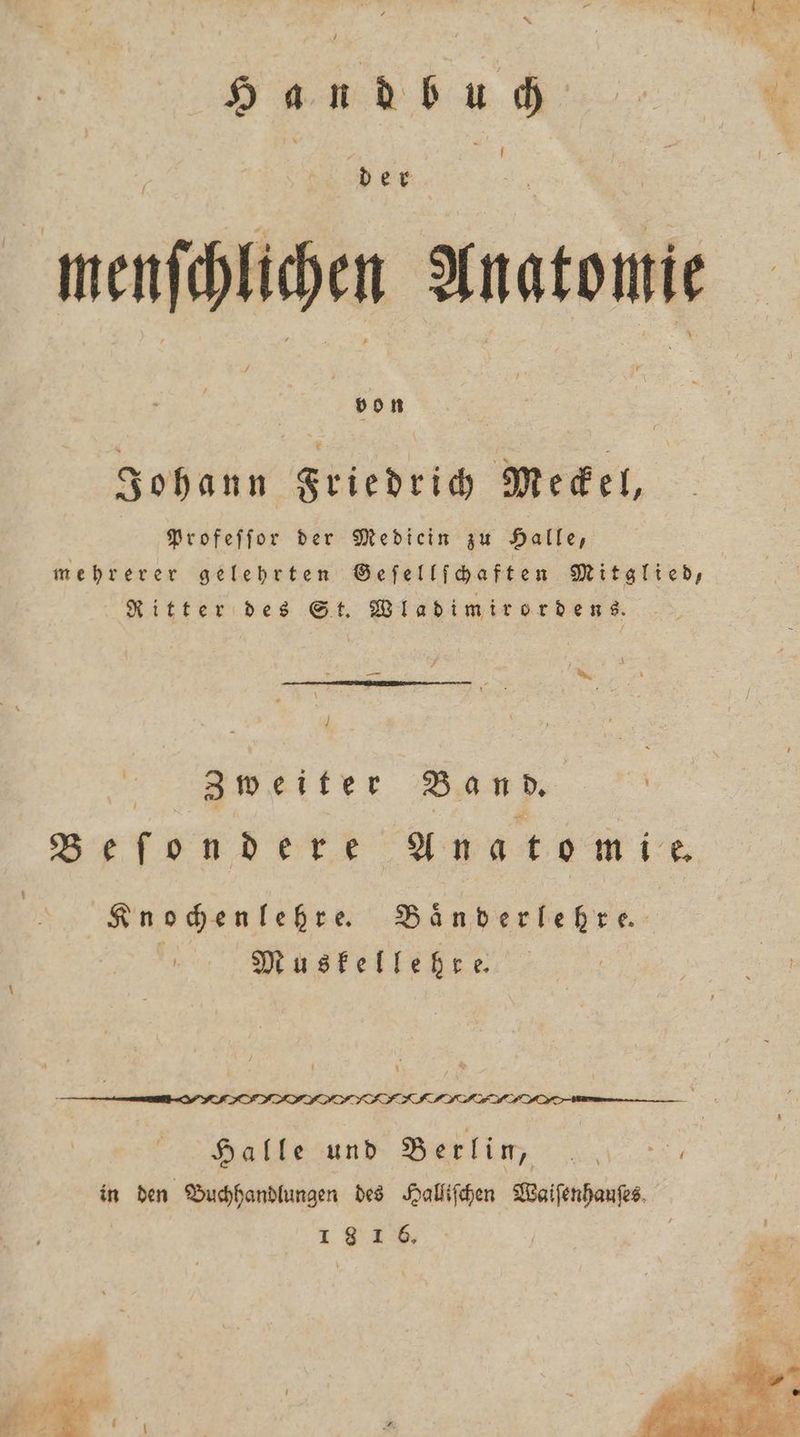 x Hand bu ch menſchlichen Anatomie Johann Friedrich Meckel, | Profeſſor der Mediein zu Halle, mehrerer gelehrten Geſellſchaften Mitglied, | Ritter des St. Wladimirordens. * 8 | Zweiter Band. Befondere Anatomie. Knochen lehre. Baͤnderlehre. Muskellehre— Halle und Berlin, in den Buchhandlungen des Halliſchen Waiſenhauſes