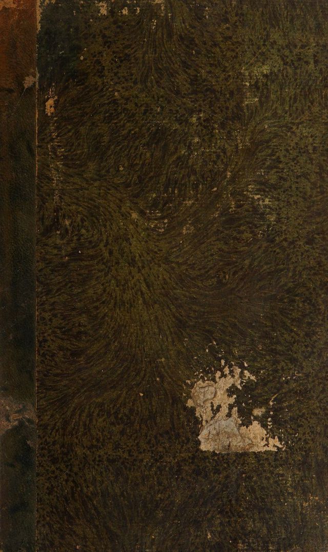 No text description is available for this image