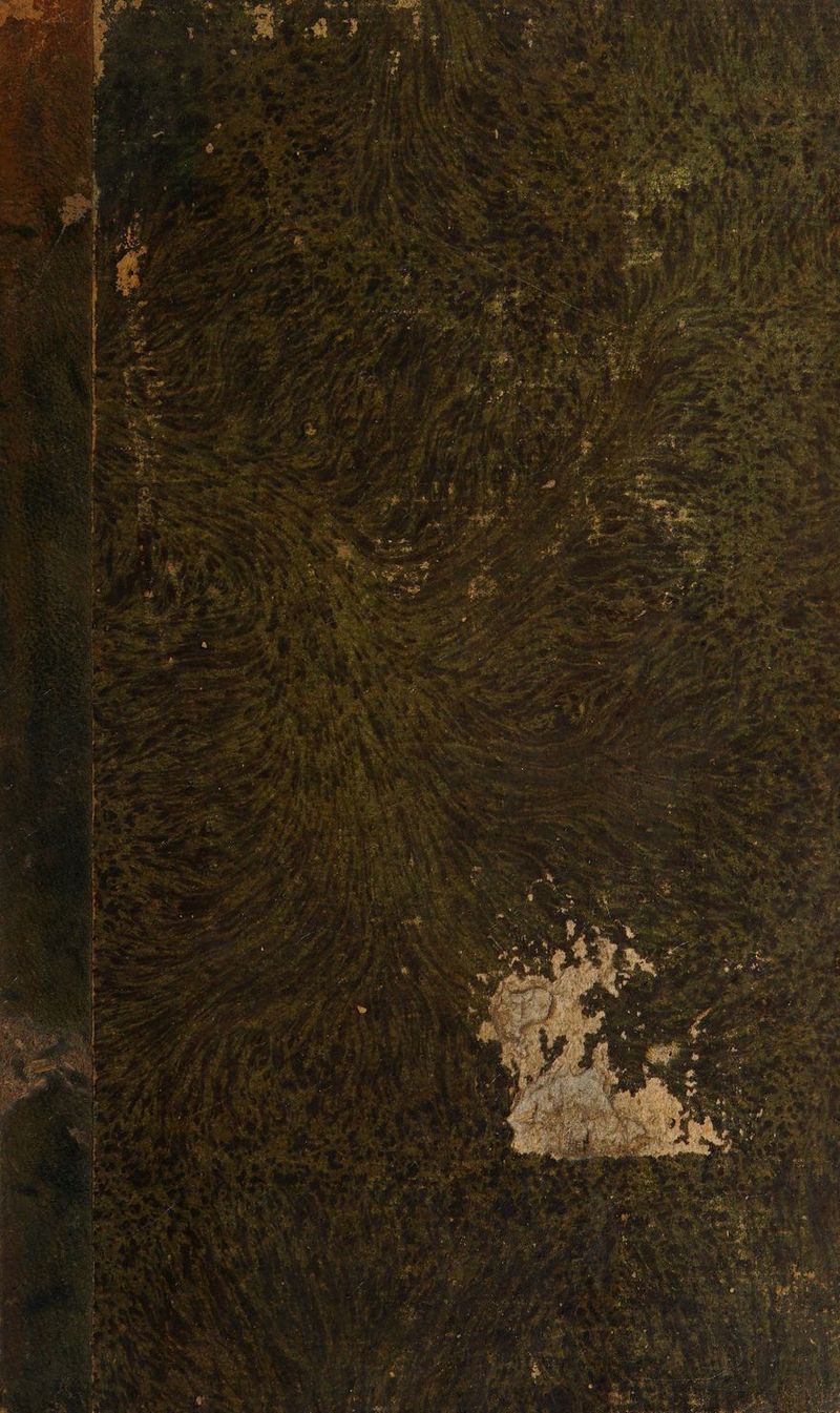 No text description is available for this image