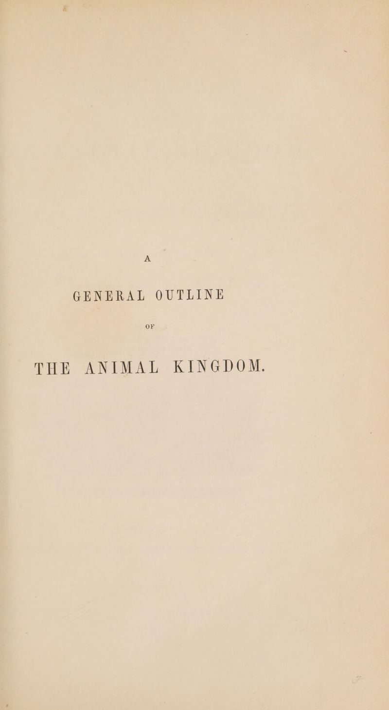 A GENERAL OUTLINE OF THE ANIMAL KINGDOM.