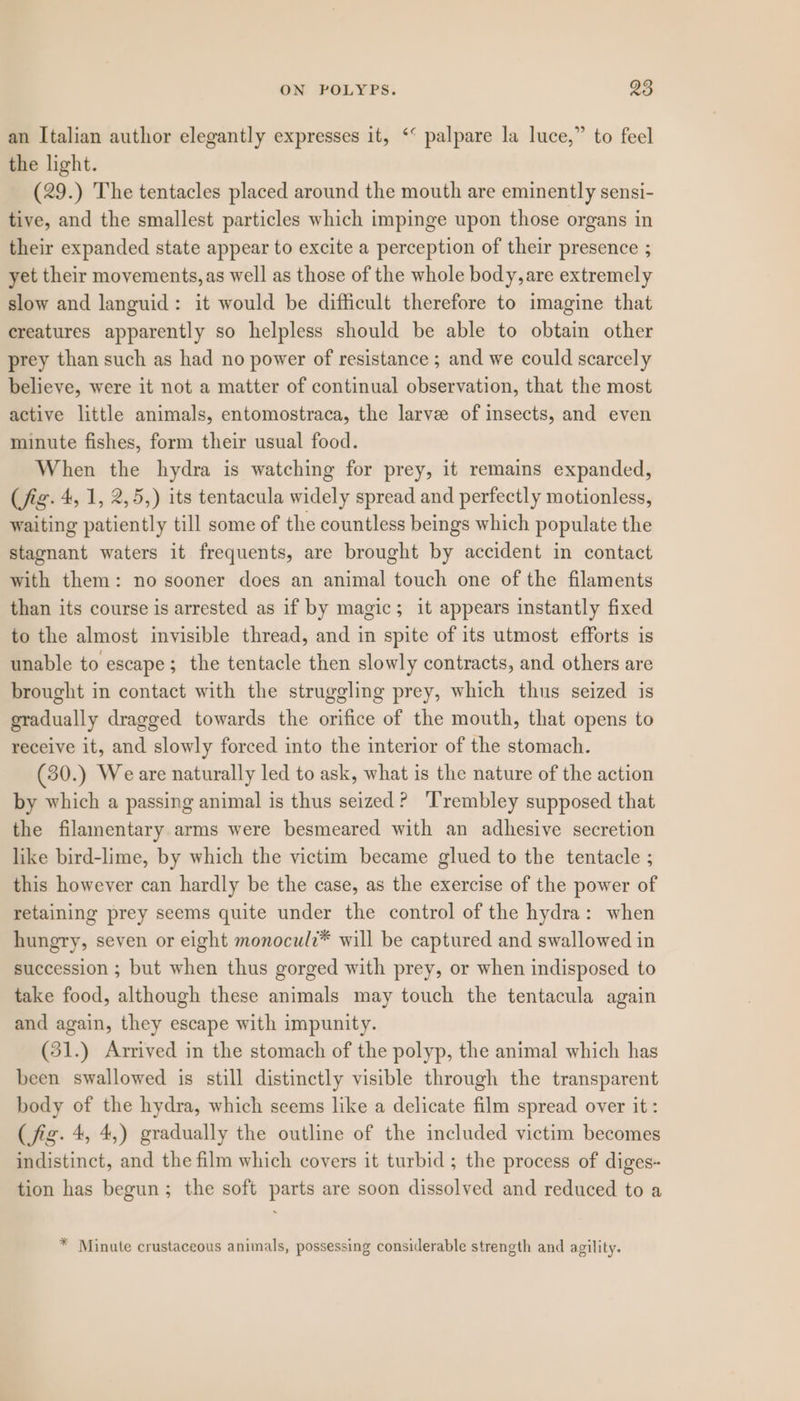 an Italian author elegantly expresses it, ‘* palpare la luce,” to feel the light. (29.) The tentacles placed around the mouth are eminently sensi- tive, and the smallest particles which impinge upon those organs in their expanded state appear to excite a perception of their presence ; yet their movements, as well as those of the whole body, are extremely slow and languid: it would be difficult therefore to imagine that creatures apparently so helpless should be able to obtain other prey than such as had no power of resistance ; and we could scarcely believe, were it not a matter of continual observation, that the most active little animals, entomostraca, the larve of insects, and even minute fishes, form their usual food. When the hydra is watching for prey, it remains expanded, (fig. 4, 1, 2,5,) its tentacula widely spread and perfectly motionless, waiting patiently till some of the countless beings which populate the stagnant waters it frequents, are brought by accident in contact with them: no sooner does an animal touch one of the filaments than its course is arrested as if by magic; it appears instantly fixed to the almost invisible thread, and in spite of its utmost efforts is unable to escape; the tentacle then slowly contracts, and others are brought in contact with the struggling prey, which thus seized is gradually dragged towards the orifice of the mouth, that opens to receive it, and slowly forced into the interior of the stomach. (30.) Weare naturally led to ask, what is the nature of the action by which a passing animal is thus seized? Trembley supposed that the filamentary arms were besmeared with an adhesive secretion like bird-lime, by which the victim became glued to the tentacle ; this however can hardly be the case, as the exercise of the power of retaining prey seems quite under the control of the hydra: when hungry, seven or eight monocul?* will be captured and swallowed in succession ; but when thus gorged with prey, or when indisposed to take food, although these animals may touch the tentacula again and again, they escape with impunity. (31.) Arrived in the stomach of the polyp, the animal which has been swallowed is still distinctly visible through the transparent body of the hydra, which seems like a delicate film spread over it : (fig. 4, 4,) gradually the outline of the included victim becomes indistinct, and the film which covers it turbid ; the process of diges- tion has begun; the soft parts are soon dissolved and reduced to a * Minute crustaceous animals, possessing considerable strength and agility.