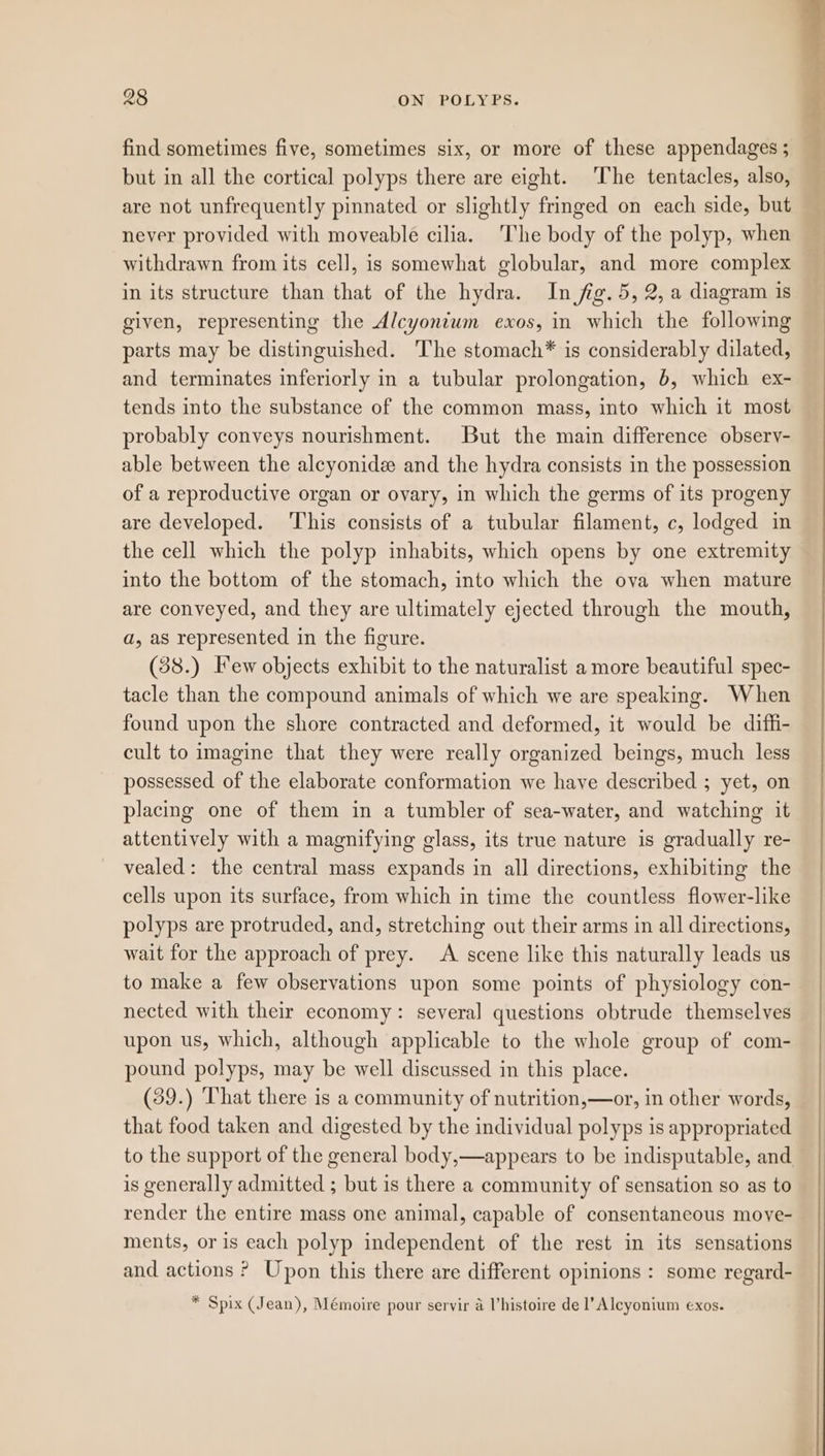 find sometimes five, sometimes six, or more of these appendages ; but in all the cortical polyps there are eight. The tentacles, also, are not unfrequently pinnated or slightly fringed on each side, but never provided with moveable cilia. The body of the polyp, when withdrawn from its cell, is somewhat globular, and more complex in its structure than that of the hydra. In fig. 5, 2, a diagram is given, representing the Alcyontum exos, in which the following parts may be distinguished. The stomach* is considerably dilated, and terminates inferiorly in a tubular prolongation, b, which ex- tends into the substance of the common mass, into which it most probably conveys nourishment. But the main difference obsery- able between the aleyonide and the hydra consists in the possession of a reproductive organ or ovary, in which the germs of its progeny are developed. ‘This consists of a tubular filament, c, lodged in the cell which the polyp inhabits, which opens by one extremity into the bottom of the stomach, into which the ova when mature are conveyed, and they are ultimately ejected through the mouth, a, as represented in the figure. (38.) Few objects exhibit to the naturalist a more beautiful spec- tacle than the compound animals of which we are speaking. When found upon the shore contracted and deformed, it would be dif_i- cult to imagine that they were really organized beings, much less possessed of the elaborate conformation we have described ; yet, on placing one of them in a tumbler of sea-water, and watching it attentively with a magnifying glass, its true nature is gradually re- vealed: the central mass expands in all directions, exhibiting the cells upon its surface, from which in time the countless flower-like polyps are protruded, and, stretching out their arms in all directions, wait for the approach of prey. A scene like this naturally leads us to make a few observations upon some points of physiology con- nected with their economy: several questions obtrude themselves upon us, which, although applicable to the whole group of com- pound polyps, may be well discussed in this place. (39.) That there is a community of nutrition,—or, in other words, that food taken and digested by the individual polyps is appropriated to the support of the general body,—appears to be indisputable, and is generally admitted ; but is there a community of sensation so as to render the entire mass one animal, capable of consentaneous move- ments, or is each polyp independent of the rest in its sensations and actions ? Upon this there are different opinions : some regard- * Spix (Jean), Mémoire pour servir a histoire de l’Alcyonium exos.
