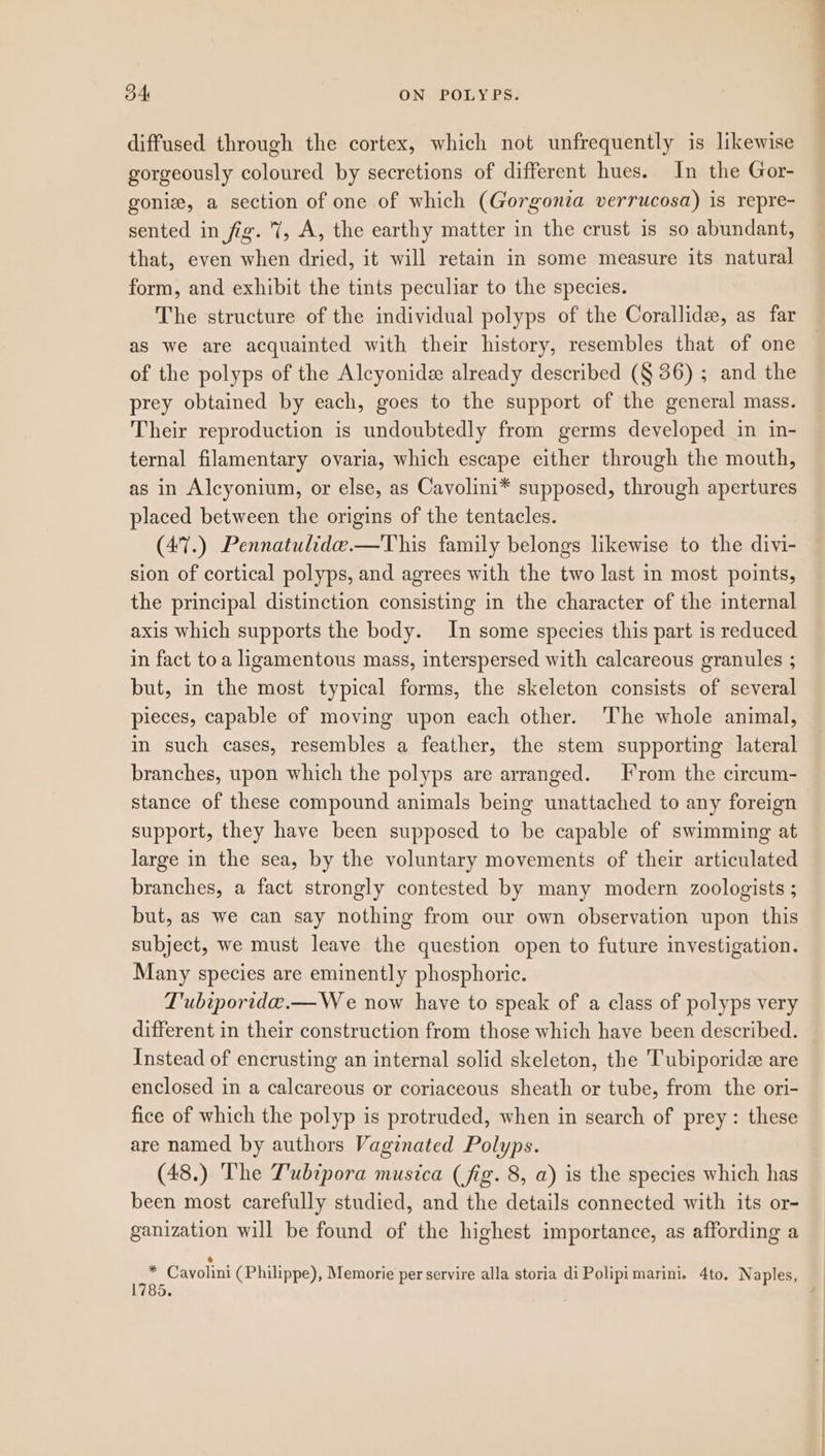 diffused through the cortex, which not unfrequently is likewise gorgeously coloured by secretions of different hues. In the Gor- gonis, a section of one of which (Gorgonza verrucosa) is repre- sented in fig. 7, A, the earthy matter in the crust is so abundant, that, even when dried, it will retain in some measure its natural form, and exhibit the tints peculiar to the species. The structure of the individual polyps of the Corallide, as far as we are acquainted with their history, resembles that of one of the polyps of the Alcyonide already described (§ 36) ; and the prey obtained by each, goes to the support of the general mass. Their reproduction is undoubtedly from germs developed in in- ternal filamentary ovaria, which escape either through the mouth, as in Alcyonium, or else, as Cavolini* supposed, through apertures placed between the origins of the tentacles. (47.) Pennatulide.—This family belongs likewise to the divi- sion of cortical polyps, and agrees with the two last in most points, the principal distinction consisting in the character of the internal axis which supports the body. In some species this part is reduced in fact toa ligamentous mass, interspersed with calcareous granules ; but, in the most typical forms, the skeleton consists of several pieces, capable of moving upon each other. ‘The whole animal, in such cases, resembles a feather, the stem supporting lateral branches, upon which the polyps are arranged. rom the circum- stance of these compound animals being unattached to any foreign support, they have been supposed to be capable of swimming at large in the sea, by the voluntary movements of their articulated branches, a fact strongly contested by many modern zoologists ; but, as we can say nothing from our own observation upon this subject, we must leave the question open to future investigation. Many species are eminently phosphoric. T'ubtporida.— We now have to speak of a class of polyps very different in their construction from those which have been described. Instead of encrusting an internal solid skeleton, the Tubiporide are enclosed in a calcareous or coriaceous sheath or tube, from the ori- fice of which the polyp is protruded, when in search of prey: these are named by authors Vaginated Polyps. (48.) The T'ubtpora musica (fig. 8, a) is the species which has been most carefully studied, and the details connected with its or- ganization will be found of the highest importance, as affording a