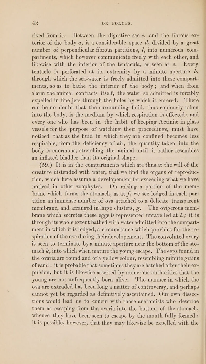 rived from it. Between the digestive sac c, and the fibrous ex- terior of the body a, is a considerable space d, divided by a great number of perpendicular fibrous partitions, /, into numerous com- partments, which however communicate freely with each other, and likewise with the interior of the tentacula, as seen at e. Livery tentacle is perforated at its extremity by a minute aperture 3, through which the sea-water is freely admitted into these compart- ments, soas to bathe the interior of the body; and when from alarm the animal contracts itself, the water so admitted is forcibly expelled in fine jets through the holes by which it entered. There can be no doubt that the surrounding fluid, thus copiously taken into the body, is the medium by which respiration is effected ; and every one who has been in the habit of keeping Actinie in glass vessels for the purpose of watching their proceedings, must have noticed that as the fluid in which they are confined becomes less respirable, from the deficiency of air, the quantity taken into the body is enormous, stretching the animal until it rather resembles an inflated bladder than its original shape. (59.) It is in the compartments which are thus at the will of the creature distended with water, that we find the organs of reproduc- tion, which here assume a developement far exceeding what we have noticed in other zoophytes. On raising a portion of the mem- brane which forms the stomach, as at f, we see lodged in each par- tition an immense number of ova attached to a delicate transparent membrane, and arranged in large clusters, g. ‘The ovigerous mem- brane which secretes these eggs is represented unravelled at A; it is through its whole extent bathed with water admitted into the compart- ment in which it is lodged, a circumstance which provides for the re- spiration of the ova during their developement. The convoluted ovary is seen to terminate by a minute aperture near the bottom of the sto- mach k, into which when mature the young escape. The eggs found in the ovaria are round and of a yellow colour, resembling minute grains of sand : it is probable that sometimes they are hatched after their ex- pulsion, but it is likewise asserted by numerous authorities that the young are not unfrequently born alive. ‘The manner in which the ova are extruded has been long a matter of controversy, and perhaps cannot yet be regarded as definitively ascertained. Our own dissec- tions would lead us to concur with those anatomists who describe them as escaping from the ovaria into the bottom of the stomach, whence they have been seen to escape by the mouth fully formed : it is possible, however, that they may likewise be expelled with the