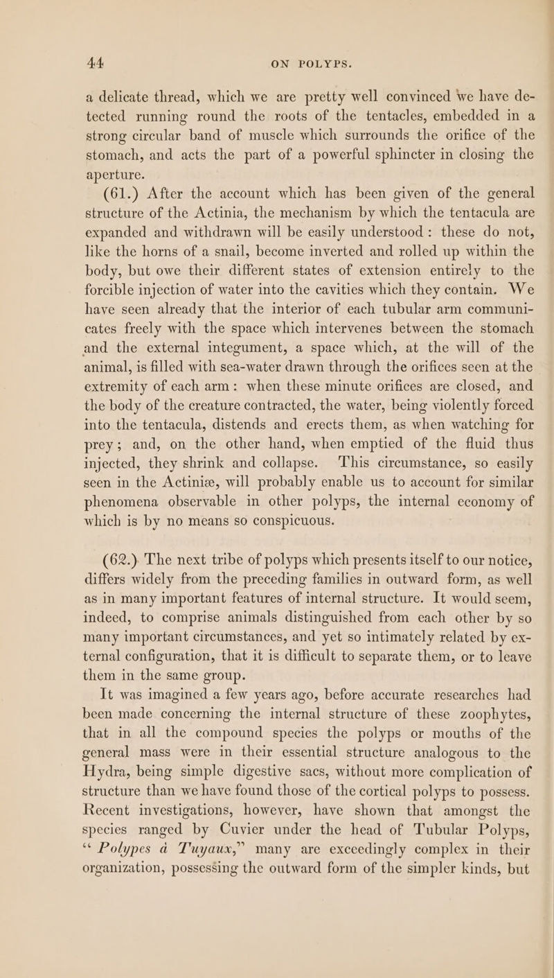 a delicate thread, which we are pretty well convinced we have de- tected running round the roots of the tentacles, embedded in a strong circular band of muscle which surrounds the orifice of the stomach, and acts the part of a powerful sphincter in closing the aperture. (61.) After the account which has been given of the general structure of the Actinia, the mechanism by which the tentacula are expanded and withdrawn will be easily understood: these do not, like the horns of a snail, become inverted and rolled up within the body, but owe their different states of extension entirely to the forcible injection of water into the cavities which they contain. We have seen already that the interior of each tubular arm communi- cates freely with the space which intervenes between the stomach and the external integument, a space which, at the will of the animal, is filled with sea-water drawn through the orifices seen at the extremity of each arm: when these minute orifices are closed, and the body of the creature contracted, the water, being violently forced into the tentacula, distends and erects them, as when watching for prey; and, on the other hand, when emptied of the fluid thus injected, they shrink and collapse. This circumstance, so easily seen in the Actinise, will probably enable us to account for similar phenomena observable in other polyps, the internal economy of which is by no means so conspicuous. (62.). The next tribe of polyps which presents itself to our notice, differs widely from the preceding families in outward form, as well as in many important features of internal structure. It would seem, indeed, to comprise animals distinguished from each other by so many important circumstances, and yet so intimately related by ex- ternal configuration, that it is difficult to separate them, or to leave them in the same group. It was imagined a few years ago, before accurate researches had been made concerning the internal structure of these zoophytes, that in all the compound species the polyps or mouths of the general mass were in their essential structure analogous to the Hydra, being simple digestive sacs, without more complication of structure than we have found those of the cortical polyps to possess. Recent investigations, however, have shown that amongst the species ranged by Cuvier under the head of Tubular Polyps, ‘“* Polypes a T'uyaux,” many are exceedingly complex in their organization, possessing the outward form of the simpler kinds, but