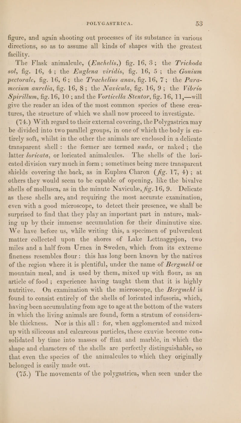 figure, and again shooting out processes of its substance in various directions, so as to assume all kinds of shapes with the greatest facility. The Flask animalcule, (nchelis,) fig. 16,3; the T'richoda sol, fig. 16, 4; the Euglena viridis, fig. 16, 5; the Gonium pectorale, fig. 16, 6; the T'rachelius anas, fig. 16,7; the Para- mecium aurelva, fig. 16, 8; the Navicula, fig. 16,9; the Vibrio Spirillum, fig. 16, 10 ; and the Vorticella Stentor, fig. 16, 11,—will give the reader an idea of the most common species of these crea- tures, the structure of which we shall now proceed to investigate. (74.) With regard to their external covering, the Polygastrica may be divided into two parallel groups, in one of which the body is en- tirely soft, whilst in the other the animals are enclosed in a delicate transparent shell: the former are termed nuda, or naked; the latter doricata, or loricated animalcules. ‘The shells of the lori- cated division vary much in form ; sometimes being mere transparent shields covering the back, as in Hupleea Charon (fig. 17, 4); at others they would seem to be capable of opening, like the bivalve shells of mollusca, as in the minute Navicule, fig.16,9. Delicate as these shells are, and requiring the most accurate examination, even with a good microscope, to detect their presence, we shall be surprised to find that they play an important part in nature, mak- ing up by their immense accumulation for their diminutive size. We have before us, while writing this, a specimen of pulverulent matter collected upon the shores of Lake Lettnaggsjon, two miles and a half from Urnea in Sweden, which from its extreme fineness resembles flour: this has long been known by the natives of the region where it is plentiful, under the name of Bergmehl or mountain meal, and is used by them, mixed up with flour, as an article of food ; experience having taught them that it is highly nutritive. On examination with the microscope, the Bergmehl is found to consist entirely of the shells of loricated infusoria, which, haying been accumulating from age to age at the bottom of the waters in which the living animals are found, form a stratum of considera- ble thickness. Nor is this all: for, when agglomerated and mixed up with siliceous and calcareous particles, these exuviee become con- solidated by time into masses of flint and marble, in which the shape and characters of the shells are perfectly distinguishable, so that even the species of the animalcules to which they originally belonged is easily made out. (75.) The movements of the polygastrica, when seen under the