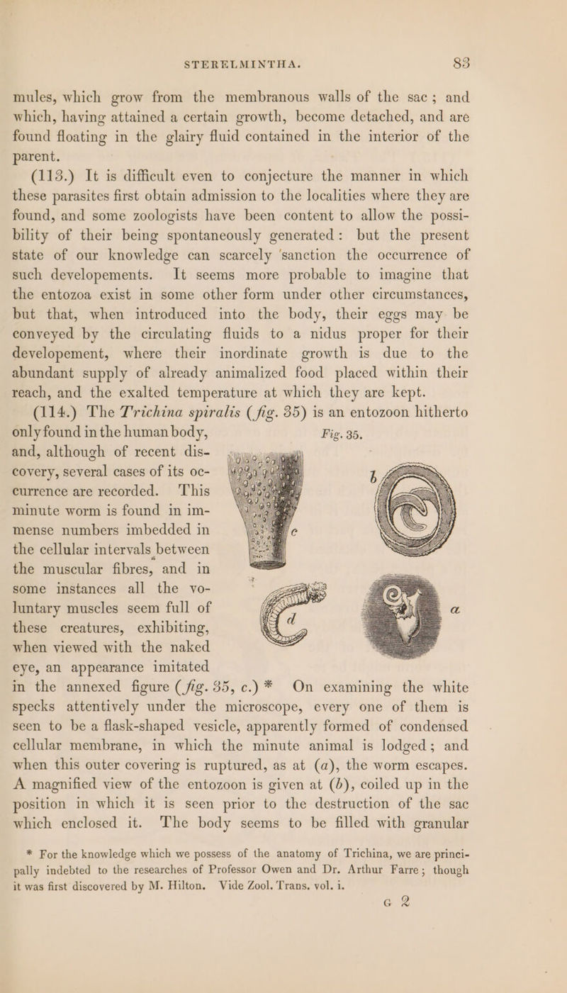 mules, which grow from the membranous walls of the sac; and which, having attained a certain growth, become detached, and are found floating in the glairy fluid contained in the interior of the parent. (113.) It is difficult even to conjecture the manner in which these parasites first obtain admission to the localities where they are found, and some zoologists have been content to allow the possi- bility of their being spontaneously generated: but the present state of our knowledge can scarcely ‘sanction the occurrence of such developements. It seems more probable to imagine that the entozoa exist in some other form under other circumstances, but that, when introduced into the body, their eggs may be conveyed by the circulating fluids to a nidus proper for their developement, where their inordinate growth is due to the abundant supply of already animalized food placed within their reach, and the exalted temperature at which they are kept. (114.) The T'richina spiralis (fig. 35) is an entozoon hitherto only found in the human body, Fig. 35. and, although of recent dis- i covery, several cases of its oc- currence are recorded. ‘This minute worm is found in im- mense numbers imbedded in the cellular intervals between the muscular fibres, and in some instances all the vo- luntary muscles seem full of these creatures, exhibiting, when viewed with the naked eye, an appearance imitated in the annexed figure (fig. 35, c.)** On examining the white specks attentively under the microscope, every one of them is seen to be a flask-shaped vesicle, apparently formed of condensed cellular membrane, in which the minute animal is lodged; and when this outer covering is ruptured, as at (a), the worm escapes. A magnified view of the entozoon is given at (b), coiled up in the position in which it is seen prior to the destruction of the sac which enclosed it. The body seems to be filled with granular * For the knowledge which we possess of the anatomy of Trichina, we are princi- pally indebted to the researches of Professor Owen and Dr. Arthur Farre; though it was first discovered by M. Hilton. Vide Zool. Trans, vol. i. qe 2