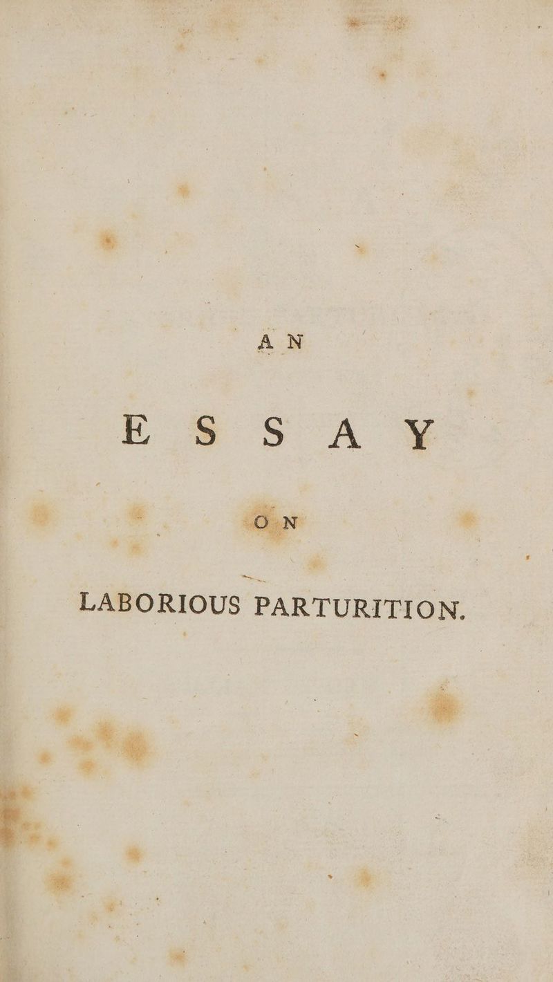 ee Rca | = ee ey ay ae ete & ri