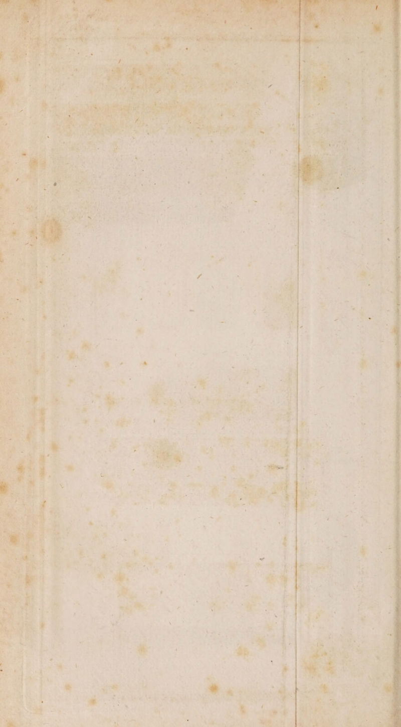 Sate pes peg ee pitied adr sere on Re eee Br re a a “legs athe ; Sn cee h a. Se Seelaes laihe 5 at J . pein ica pra Spe © et matinee A fil si ee - es aie