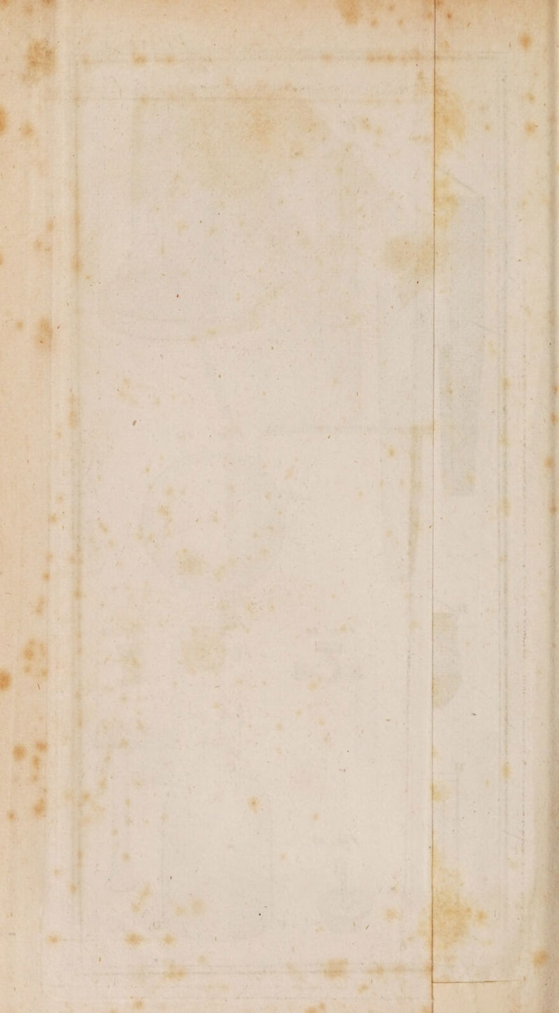 “ : cr) hee - ately be wane 4a = bes’ r . * hs > ‘ astra oe ba ctbedl eee ig ¥, i bys ore Va: ‘ Se ie £: | -f “ 7 ey ie ee + ; 1 “a i A a a ea . ‘ Rice « a «age : > A 5 wy - = : % ; , es Pe : ‘ » : a ee — i 3 a ew ee ‘ < - . a _ ; ks a san, ‘ . , . * i ‘ “ » _ . a 2 ; 3 , \ b is ae + eer ro ih ¥ i nm : } 1. a seid, lati Sees 1 a ay Daas SEERA eS w nied 4 Pas, one greats x Pe roman Seah oes 5 “+ ie we : . i a C CMe a ni { : st ani > an) ‘ ’ ack a NPL zh ’ hs rad a +i) mie ays ; \ ° Oi eon. ter Py fe ge AW finns ed ck OF Ip oe A dee + : ha ~ Fe : ‘A « - iy +7 “