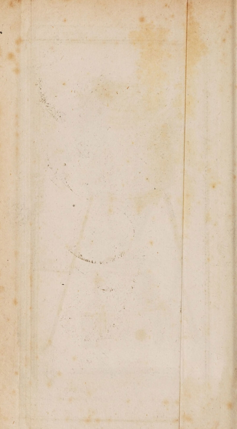 ‘ Pak pomalns he igh Meee } ' ’ pA len Any 4 \ ; 7 > 2. é “Z -_ * Py, Sal s . Z ee ‘ Ta - = bd > - a , re - . ’ % ve , ae se Glee | s 2 Wee 4 tS ee tae me Sey ss Se ok ie eee | ee ee ee wf . ie oe 7 BN Mae IS ou at se