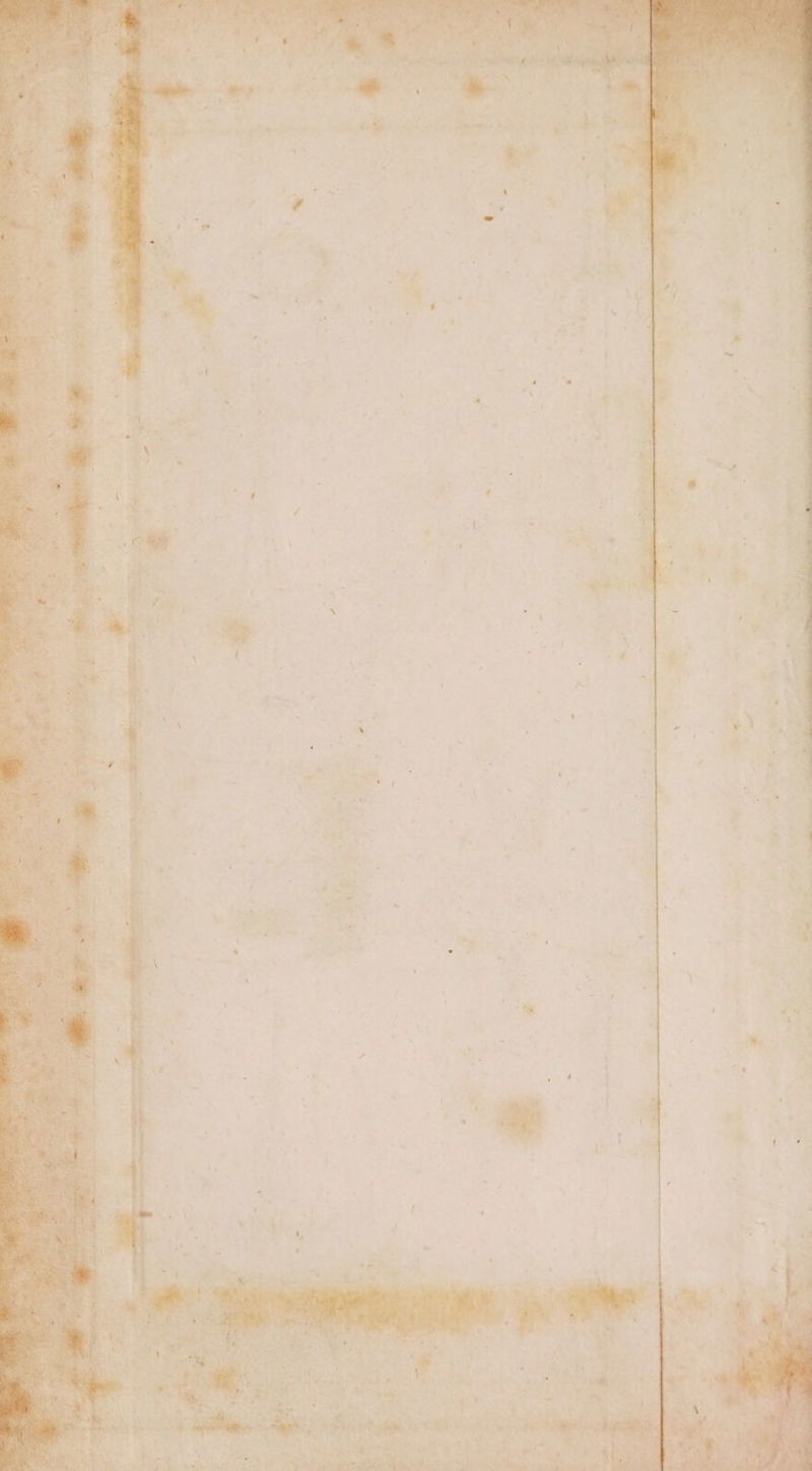 q Bath oi we eis pia «le eb ; a” < i rey Beta Te - a, pai * —_ ‘e