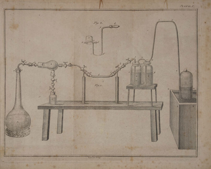 7 [ x Widder 2 Zz = \ = AG . . AWW i ; ‘ai HH D Livers feulp' i * ey ; ca ‘