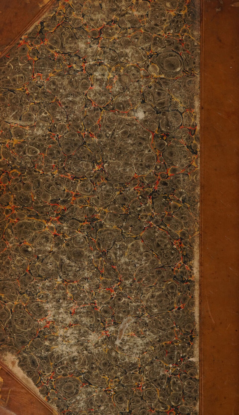 No text description is available for this image