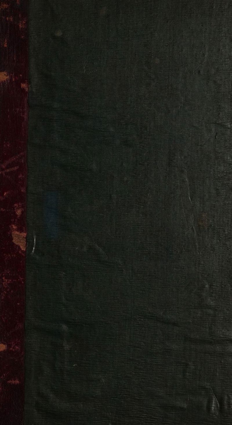 net Benes E ae —e as eh ELT Sage fie) Peerage, oS pieiaareetesine me 3 eaters ean Halsbeinninga ube
