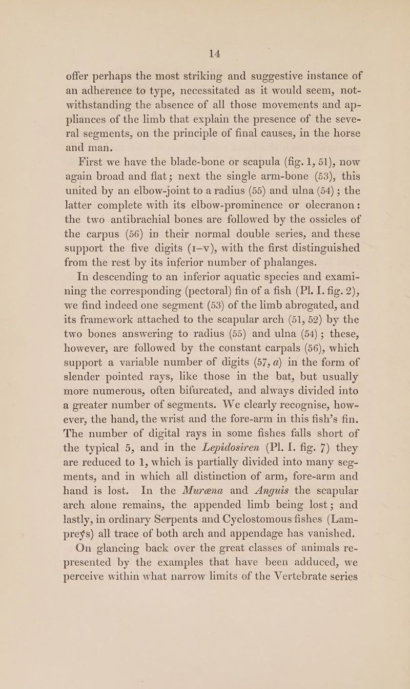 offer perhaps the most striking and suggestive instance of an adherence to type, necessitated as it would seem, not- withstanding the absence of all those movements and ap- pliances of the limb that explain the presence of the seve- ral segments, on the principle of final causes, in the horse and man. First we have the blade-bone or scapula (fig. 1, 51), now again broad and flat; next the single arm-bone (53), this united by an elbow-joint to a radius (55) and ulna (54) ; the latter complete with its elbow-prominence or olecranon: the two antibrachial bones are followed by the ossicles of the carpus (56) in their normal double series, and these support the five digits (1-v), with the first distinguished from the rest by its inferior number of phalanges. In descending to an inferior aquatic species and exami- ning the corresponding (pectoral) fin of a fish (Pl. I. fig. 2), we find indeed one segment (53) of the limb abrogated, and its framework attached to the scapular arch (51, 52) by the two bones answering to radius (55) and ulna (54); these, however, are followed by the constant carpals (56), which support a variable number of digits (57, a) in the form of slender pointed rays, like those in the bat, but usually more numerous, often bifurcated, and always divided into a greater number of segments. We clearly recognise, how- ever, the hand, the wrist and the fore-arm in this fish’s fin. The number of digital rays in some fishes falls short of the typical 5, and in the Lepidosiren (Pl. I. fig. 7) they are reduced to 1, which is partially divided into many seg- ments, and in which all distinction of arm, fore-arm and hand is lost. In the Murena and Anguis the scapular arch alone remains, the appended limb being lost; and lastly, in ordinary Serpents and Cyclostomous fishes (Lam- preys) all trace of both arch and appendage has vanished. On glancing back over the great classes of animals re- presented by the examples that have been adduced, we perceive within what narrow limits of the Vertebrate series