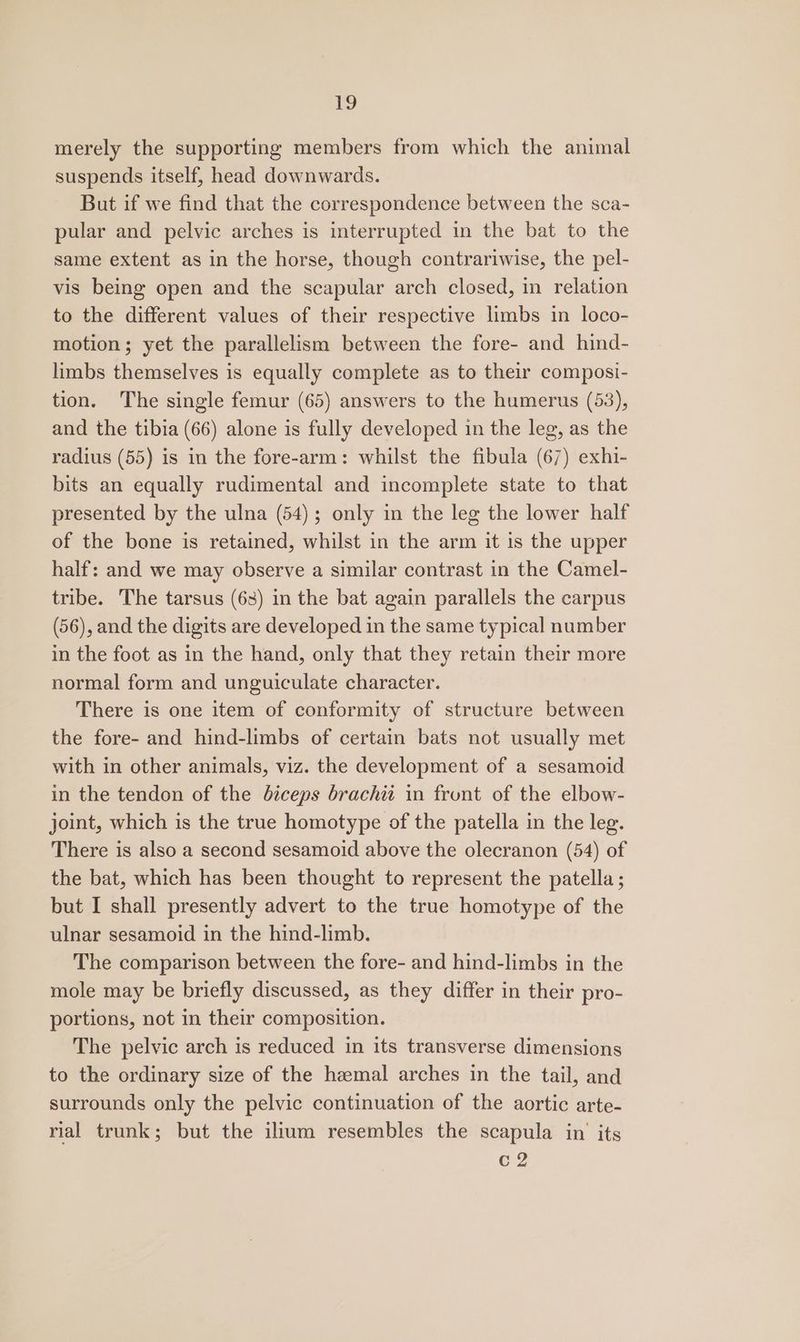 merely the supporting members from which the animal suspends itself, head downwards. But if we find that the correspondence between the sca- pular and pelvic arches is interrupted in the bat to the same extent as in the horse, though contrariwise, the pel- vis being open and the scapular arch closed, in relation to the different values of their respective limbs in loco- motion; yet the parallelism between the fore- and hind- limbs themselves is equally complete as to their composi- tion. The single femur (65) answers to the humerus (53), and the tibia (66) alone is fully developed in the leg, as the radius (55) is in the fore-arm: whilst the fibula (67) exhi- bits an equally rudimental and incomplete state to that presented by the ulna (54); only in the leg the lower half of the bone is retained, whilst in the arm it is the upper half: and we may observe a similar contrast in the Camel- tribe. The tarsus (63) in the bat again parallels the carpus (56), and the digits are developed in the same typical number in the foot as in the hand, only that they retain their more normal form and unguiculate character. There is one item of conformity of structure between the fore- and hind-limbs of certain bats not usually met with in other animals, viz. the development of a sesamoid in the tendon of the biceps brachit in front of the elbow- joint, which is the true homotype of the patella in the leg. There is also a second sesamoid above the olecranon (54) of the bat, which has been thought to represent the patella ; but I shall presently advert to the true homotype of the ulnar sesamoid in the hind-limb. The comparison between the fore- and hind-limbs in the mole may be briefly discussed, as they differ in their pro- portions, not in their composition. The pelvic arch is reduced in its transverse dimensions to the ordinary size of the hzmal arches in the tail, and surrounds only the pelvic continuation of the aortic arte- rial trunk; but the ilium resembles the scapula in its C2