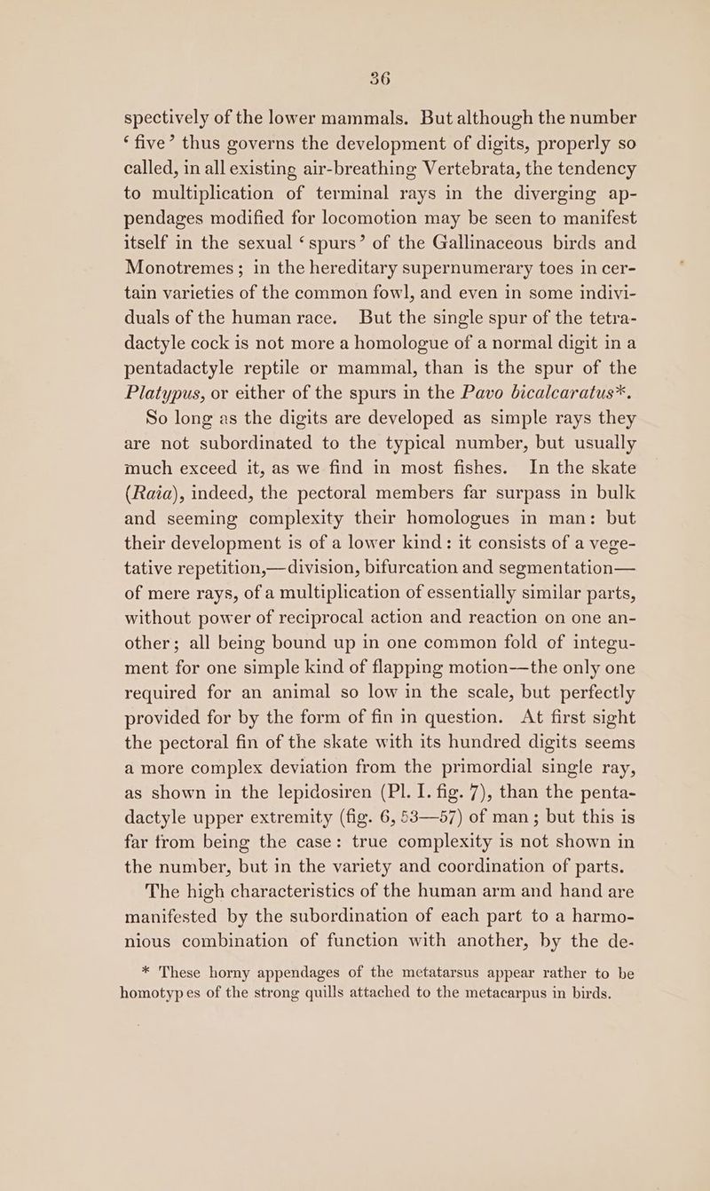spectively of the lower mammals. But although the number ‘five’ thus governs the development of digits, properly so called, in all existing air-breathing Vertebrata, the tendency to multiplication of terminal rays in the diverging ap- pendages modified for locomotion may be seen to manifest itself in the sexual ‘spurs’ of the Gallinaceous birds and Monotremes; in the hereditary supernumerary toes in cer- tain varieties of the common fowl, and even in some indivi- duals of the human race. But the single spur of the tetra- dactyle cock is not more a homologue of a normal digit in a pentadactyle reptile or mammal, than is the spur of the Platypus, or either of the spurs in the Pavo bicalcaratus*. So long as the digits are developed as simple rays they are not subordinated to the typical number, but usually much exceed it, as we find in most fishes. In the skate (Raia), indeed, the pectoral members far surpass in bulk and seeming complexity their homologues in man: but their development is of a lower kind: it consists of a vege- tative repetition,—division, bifurcation and segmentation— of mere rays, of a multiplication of essentially similar parts, without power of reciprocal action and reaction on one an- other; all being bound up in one common fold of integu- ment for one simple kind of flapping motion—the only one required for an animal so low in the scale, but perfectly provided for by the form of fin in question. At first sight the pectoral fin of the skate with its hundred digits seems a more complex deviation from the primordial single ray, as shown in the lepidosiren (PI. I. fig. 7), than the penta- dactyle upper extremity (fig. 6, 53—57) of man; but this is far trom being the case: true complexity is not shown in the number, but in the variety and coordination of parts. The high characteristics of the human arm and hand are manifested by the subordination of each part to a harmo- nious combination of function with another, by the de- * These horny appendages of the metatarsus appear rather to be homotypes of the strong quills attached to the metacarpus in birds.