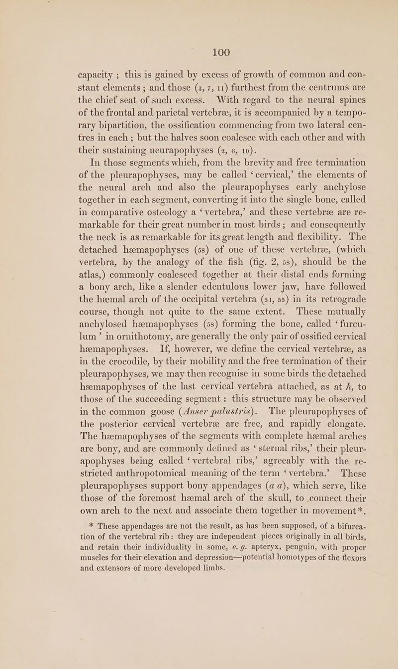capacity ; this is gained by excess of growth of common and con- stant elements ; and those (3, 7, 11) furthest from the centrums are the chief seat of such excess. With regard to the neural spines of the frontal and parietal vertebree, it is accompanied by a tempo- rary bipartition, the ossification commencing from two lateral cen- tres in each ; but the halves soon coalesce with each other and with their sustaining neurapophyses (2, 6, 10). In those segments which, from the brevity and free termination of the -itevresanlieass may be called ‘cervical,’ the elements of the neural arch and also the pleurapophyses early anchylose together in each segment, converting it into the single bone, called in comparative osteology a ‘vertebra,’ and these vertebree are re- markable for their great number in most birds; and consequently the neck is as remarkable for its great length and flexibility. The detached hzemapophyses (ss) of one of these vertebree, (which vertebra, by the analogy of the fish (fig. 2, 5s), should be the atlas,) commonly coalesced together at their distal ends forming a bony arch, like a slender edentulous lower jaw, have followed the heemal arch of the occipital vertebra (51, 55) in its retrograde course, though not quite to the same extent. These mutually anchylosed hamapophyses (ss) forming the bone, called ‘ furcu- lum ’ in ornithotomy, are generally the only pair of ossified cervical heemapophyses. If, however, we define the cervical vertebree, as in the crocodile, by their mobility and the free termination of their pleurapophyses, we may then recognise in some birds the detached heemapophyses of the last cervical vertebra attached, as at h, to those of the succeeding segment: this structure may be observed in the common goose (duser palustris). The pleurapophyses of the posterior cervical vertebree are free, and rapidly elongate. The hemapophyses of the segments with complete heemal arches are bony, and are commonly defined as ‘ sternal ribs,’ their pleur- apophyses being called ‘ vertebral ribs,’ agreeably with the re- stricted anthropotomical meaning of the term ‘vertebra.’ These pleurapophyses support bony appendages (a a), which serve, like those of the foremost heemal arch of the skull, to connect their own arch to the next and associate them together in movement*. * These appendages are not the result, as has been supposed, of a bifurca- tion of the vertebral rib: they are independent pieces originally in all birds, and retain their individuality in some, e.g. apteryx, penguin, with proper muscles for their elevation and depression—potential homotypes of the flexors and extensors of more developed limbs.