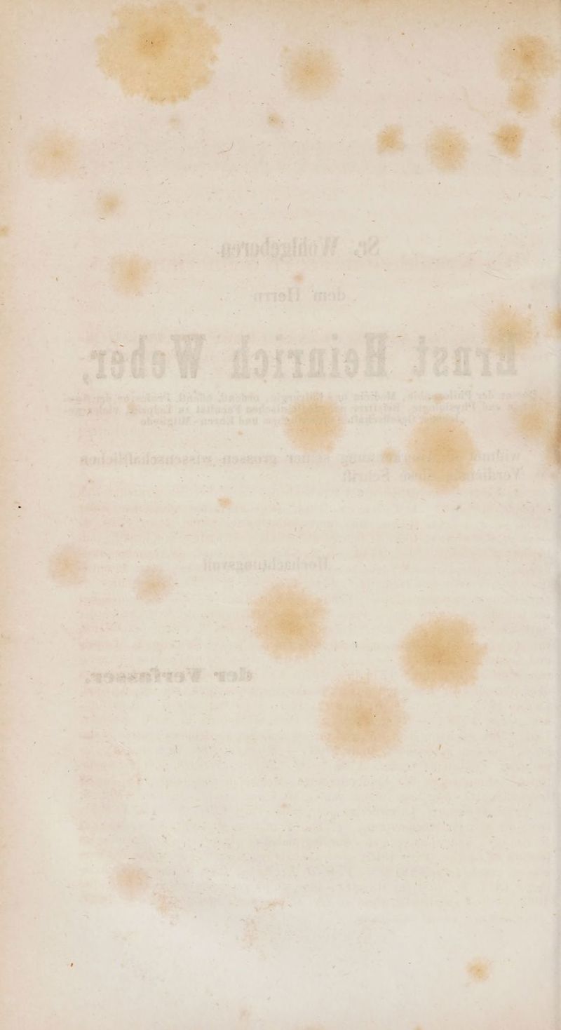 ren ab; sig Ban us iäsluae aastaait Age gi