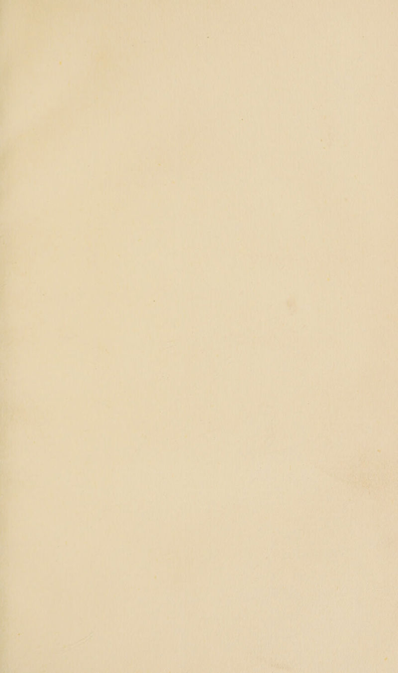 Am 0) ane burn e’ Ce ‘ wt tay 1o¥9), if 7; : ye? % rk eam Se ices A hy eget ie | A ii Te At Ags) &amp; aAty i PY a eee / ob, M199 |) Por iy a