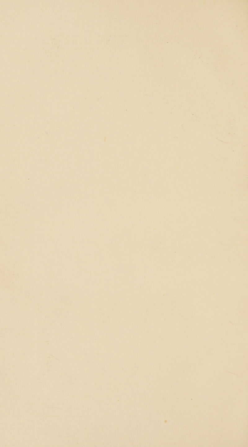 iri i Seay oe ae le rt ts i invnde ; if i