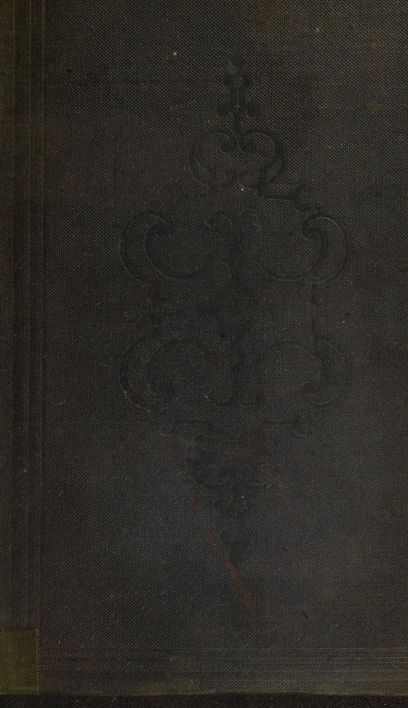 oe id eats meted say, PSs pate Be Lee 7 A + 3 4, NLA SDD Ae ! v i 7 : : St Whos ta : Ne % Saat : f reesmote Nok: AOD DP ¢ PDA AAD DA DA DDL LIL LHD D ORE OO PDR Gadd FD op ae Oe Peery pret; 5 See A US PEP ELP ELS ane LAMPE OLS PDL PFA AEP AL AI EA CLAD Py ie oe : YEE LLY rece Sa y aeons caae AaS i 7 Cry eene, ae Ne, sts “f eas CUE vee Nats a YORKIE a rey CIA FS oe ERICA RIN Ay oN 2 WIR shoe meen ye weeny ac thieneage tT re a SNE EN, Se a OD ee
