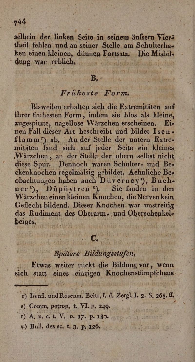 selbein der, linken. ‚Seite. in seinem aufilen Viers theil fehlen und an seiner Stelle am Schulterha« ken einen kleinen, dünnen Fortsatz, - hie Misbil+ . GanEr war hin h “u ER EHEN B.- Früheste Form Bisweilen erhalten sich die Extremitäten auf ihrer frühesten Form, indem sie blos als kleine, zugespitzte, nagellose Wärzchen erscheinen. Ei- nen Fall dieser Art beschreibt und bildet Isen- flamm') ab, ‚An der Stelle der untern Extre- mitäten fand sich. auf jeder Seite ein kleines ‚Wärzchen, an der Stelle der obern selbst nicht diese Spur. Dennoch waren Schulter- und Be- ckenknochen regelmäfsig &amp; gebildet. Aehnliche Be» obachtungen haben auch Düverney‘), Buch- ner‘), Düpüytren °). Sie fanden in den Wärzchen einenkleinen Knochen, die Nerven kein Geflecht bildend. Dieser Knochen. war unstreitig das Rudiment des Oberarm- ‚und a er 3 ag beines, ö |  Spätkre Bildung ansich .... Etwas weiter rückt ‚die Bildung vor, wenn sich statt eines einzigen Knochenstümpfcheus- - 9) Isenfl. und Höseun, Beitr. f. d. Zergl. 1.2.8, 268. 8, { s) Comm, petrop, t. VI. p. 249. A t) A. n.ctV.o. 17. p- 180. | u) Bull, des sc. t. 3. p. 126.