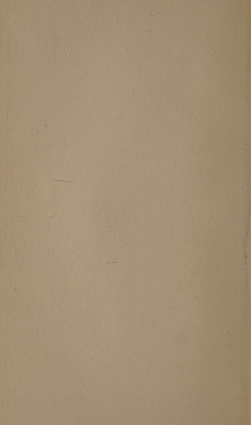 br tae Aa ag bi) i. 1) a et ites ae , ta , ang rie ; Va ‘