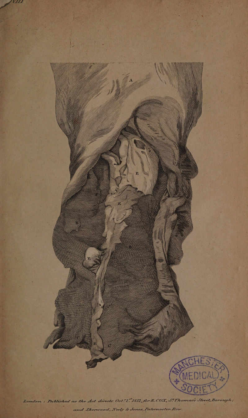 WS ae. Lf Ui f “YWy YU) YY Zi yy ‘a . : SS , 2 ass Pacbleshed as the Mot devots: Oct?1 1812 fork. COX, S'Thom Street, Borough /