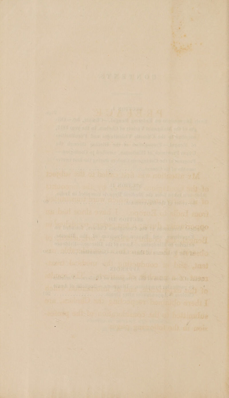 LN + A a nate om atl. Sy wale Is ae \ Rtn ‘vs ¥ i. f Mer fil eae : aoe i pd y Na te be 7 ; i, * iy } i } x ia: ime j J » Mal } wt “7 ey if Sal 7 ie. F fh ; Fe } ’ , pee f ne , Pf eye yarn 4 } i j ay ek) gan ‘i ee ed ; 7 le bg Re it | j Pistia * ie te . NN = &gt; 7 rete ; ' y % / Y 4 pt we fie B a * ) es: aw set Su sites eit ee iy, ; Sy x : iS } P g } i TN ae ae (ik ailicky aed Greed a elem ee ee ay nick AG ‘sai ok yar - at feiss oO silat ith ig Ree 1 a3 ., ; gid } y y 20 or : : 5 ai ftai Hf ik Sen : clas shid% j MPs: Pei) E tas: HY) 1g a » a e; r Pe \ } j : oe ys rn @ \ ‘. ,¥ ‘ ORF Weiss Fs ao Res abe. Beg aeiw begtaey ; iPr ,, y a et 7 2 f Te SmotRateRy af Hodivnir gatnatalel ntort igqQ ating ; ‘e * ot Suede ks Wii SA wail ag aie Wr as 7 : P the } . Ali, : bey eae koa 7 Bas hii Mic? BHORUATAOL FP Os 1G Nexryoni : tky ote Me Ny te att tnt A bales G tpeidus idl og v Say aan roi eed A Aituog:y evi He es A: OF ey) Mone f } dah ais ext fet te + by Find ptf. tt hy i ie | a pe SO tis a * sarge = ain - bir sorte oved a eee Shin EAP in i ALF. AORTOR Hi AP Aha ache Neat hl le Shahi e-onateroette ie SIs hor. Badd te | pee we uae). Sinii sade ore aro saasid dacrileconnr’ ad ae whanan, Red ae pielaamy: Bree dis ; iy Jnaeationat re Coe Bove PPE ee ee ee of asc 19He sity q a