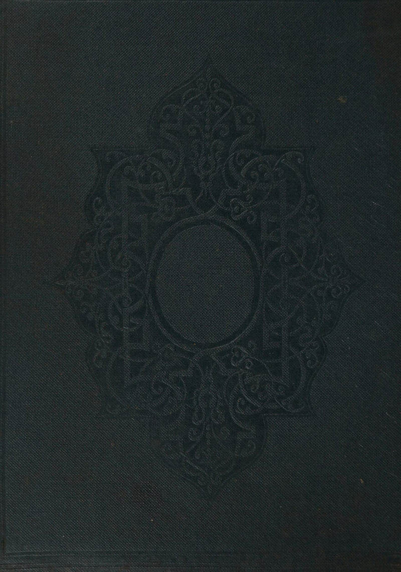 ea Ar atsie we os : Ne oy rx * | SSS Aha Ny aks eee te one: i, x *, rites =. ~- [nine oi eee Samet cs eS Se. Sasa en ee SESSA DSS, hes Se gtatataee Hy REET AS Sa ee