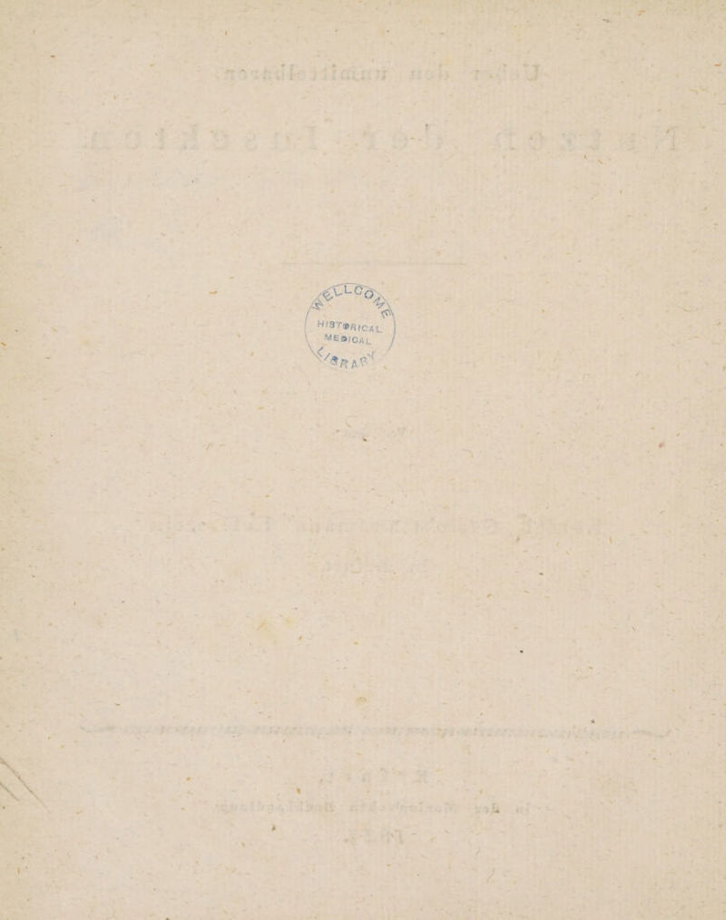 e EN ee ee A ee erde A u, 2 R N au, De 5 u MRP . “ BEN De Bi} Pe Pr