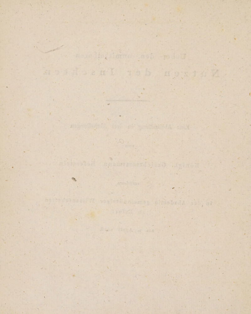 er » ir er > OR x % FR » &amp; + E ” Er f + ” y B A GR ee 6 Er d: RE We A Sei u Zu = uaris ; ® x Eigen ı* * f: * a,‘ L)