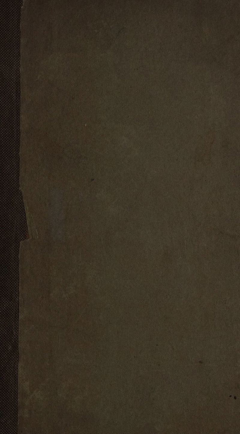 y n