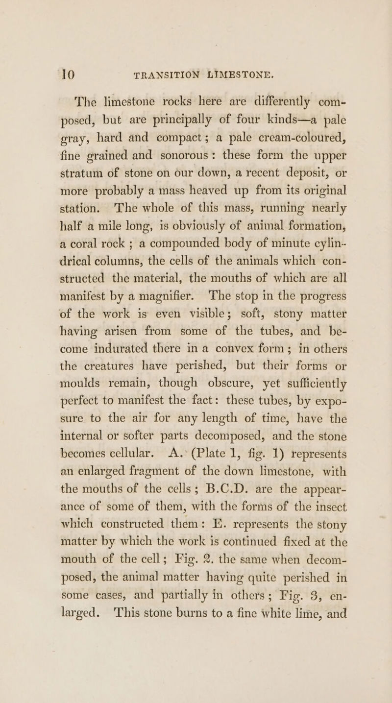 The limestone rocks here are differently com- posed, but are principally of four kinds—a pale gray, hard and compact; a pale cream-coloured, fine grained and sonorous: these form the upper stratum of stone on our down, a recent deposit, or more probably a mass heaved up from its original station. The whole of this mass, running nearly half a mile long, is obviously of animal formation, a coral rock ; a compounded body of minute cylin- drical columns, the cells of the animals which con- structed the material, the mouths of which are all manifest by a magnifier. The stop in the progress of the work is even visible; soft, stony matter having arisen from some of the tubes, and be- come indurated there in a convex form; in others the creatures have perished, but their forms or moulds remain, though obscure, yet sufficiently perfect to manifest the fact: these tubes, by expo- sure to the air for any length of time, have the internal or softer parts decomposed, and the stone becomes cellular. A. (Plate 1, fig. 1) represents an enlarged fragment of the down limestone, with the mouths of the cells; B.C.D. are the appear- ance of some of them, with the forms of the insect which constructed them: E. represents the stony matter by which the work is continued fixed at the mouth of the cell; Fig. 2. the same when decom- posed, the animal matter having quite perished in some cases, and partially in others; Fig. 3, en- larged. 'This stone burns to a fine white lime, and