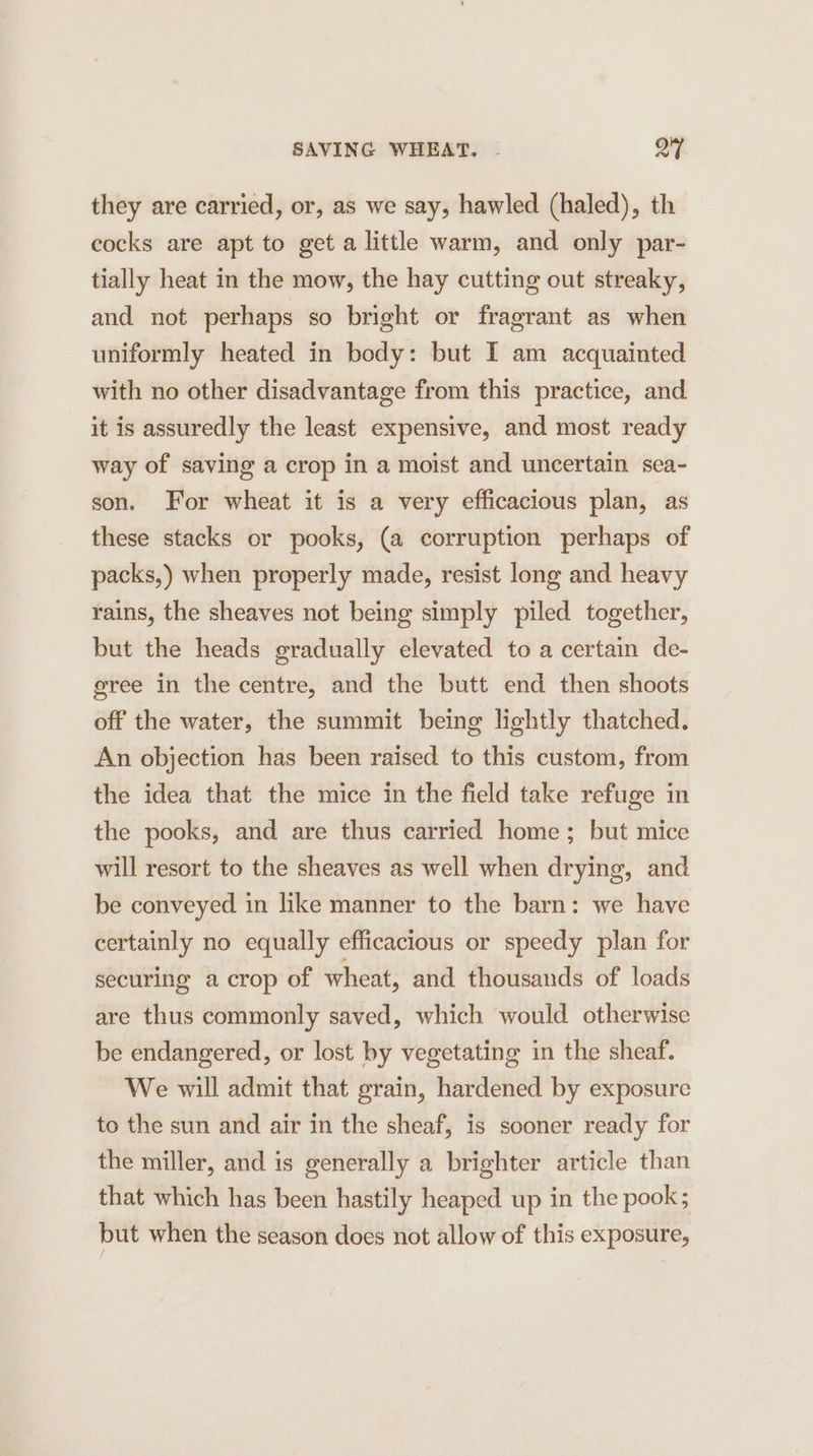 SAVING WHEAT. . oF they are carried, or, as we say, hawled (haled), th cocks are apt to get a little warm, and only par- tially heat in the mow, the hay cutting out streaky, and not perhaps so bright or fragrant as when uniformly heated in body: but I am acquainted with no other disadvantage from this practice, and it is assuredly the least expensive, and most ready way of saving a crop in a moist and uncertain sea- son. For wheat it is a very efficacious plan, as these stacks or pooks, (a corruption perhaps of packs,) when properly made, resist long and heavy rains, the sheaves not being simply piled together, but the heads gradually elevated to a certain de- eree in the centre, and the butt end then shoots off the water, the summit being lightly thatched. An objection has been raised to this custom, from the idea that the mice in the field take refuge in the pooks, and are thus carried home; but mice will resort to the sheaves as well when drying, and be conveyed in like manner to the barn: we have certainly no equally efficacious or speedy plan for securing a crop of wheat, and thousands of loads are thus commonly saved, which would otherwise be endangered, or lost by vegetating in the sheaf. We will admit that grain, hardened by exposure to the sun and air in the sheaf, is sooner ready for the miller, and is generally a brighter article than that which has been hastily heaped up in the pook; but when the season does not allow of this exposure,