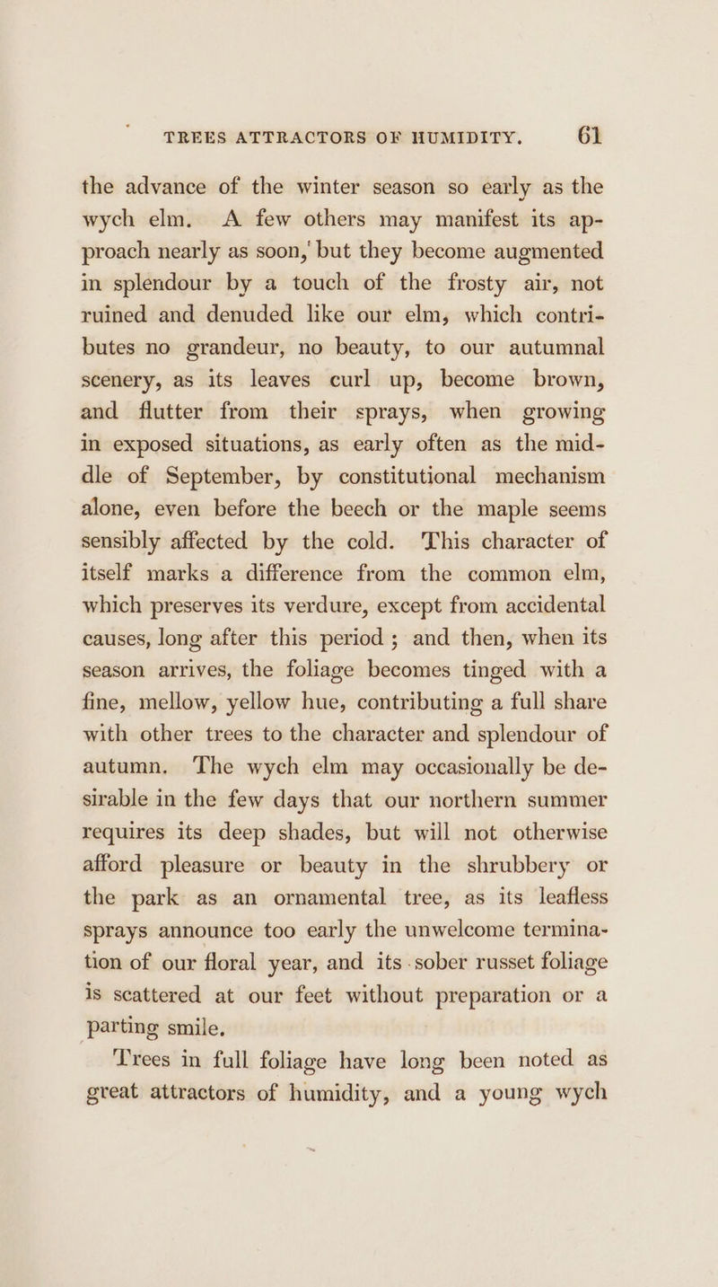 the advance of the winter season so early as the wych elm. A few others may manifest its ap- proach nearly as soon,’ but they become augmented in splendour by a touch of the frosty air, not ruined and denuded like our elm, which contri- butes no grandeur, no beauty, to our autumnal scenery, as its leaves curl up, become brown, and flutter from their sprays, when growing in exposed situations, as early often as the mid- dle of September, by constitutional mechanism alone, even before the beech or the maple seems sensibly affected by the cold. This character of itself marks a difference from the common elm, which preserves its verdure, except from accidental causes, long after this period ; and then, when its season arrives, the foliage becomes tinged with a fine, mellow, yellow hue, contributing a full share with other trees to the character and splendour of autumn. The wych elm may occasionally be de- sirable in the few days that our northern summer requires its deep shades, but will not otherwise afford pleasure or beauty in the shrubbery or the park as an ornamental tree, as its leafless sprays announce too early the unwelcome termina- tion of our floral year, and its .sober russet foliage is scattered at our feet without preparation or a parting smile. Trees in full foliage have long been noted as great attractors of humidity, and a young wych
