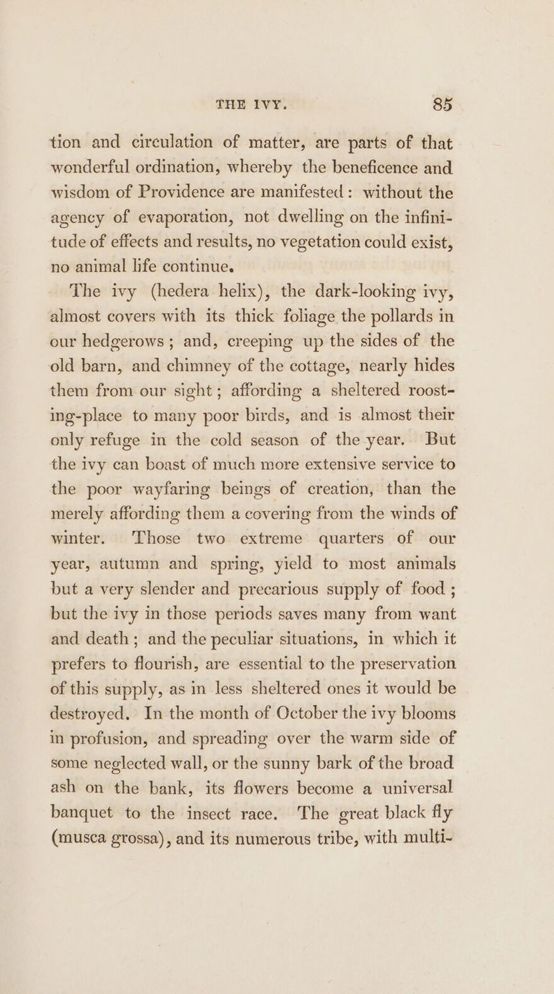 tion and circulation of matter, are parts of that wonderful ordination, whereby the beneficence and wisdom of Providence are manifested: without the agency of evaporation, not dwelling on the infini- tude of effects and results, no vegetation could exist, no animal life continue. The ivy (hedera helix), the dark-looking ivy, almost covers with its thick foliage the pollards in our hedgerows ; and, creeping up the sides of the old barn, and chimney of the cottage, nearly hides them from our sight; affording a sheltered roost- ing-place to many poor birds, and is almost their only refuge in the cold season of the year.. But the ivy can boast of much more extensive service to the poor wayfaring beings of creation, than the merely affording them a covering from the winds of winter. Those two extreme quarters of our year, autumn and spring, yield to most animals but a very slender and precarious supply of food ; but the ivy in those periods saves many from want and death ; and the peculiar situations, in which it prefers to flourish, are essential to the preservation of this supply, as in less sheltered ones it would be destroyed. In the month of October the ivy blooms in profusion, and spreading over the warm side of some neglected wall, or the sunny bark of the broad ash on the bank, its flowers become a universal banquet to the insect race. The great black fly (musca grossa), and its numerous tribe, with multi-