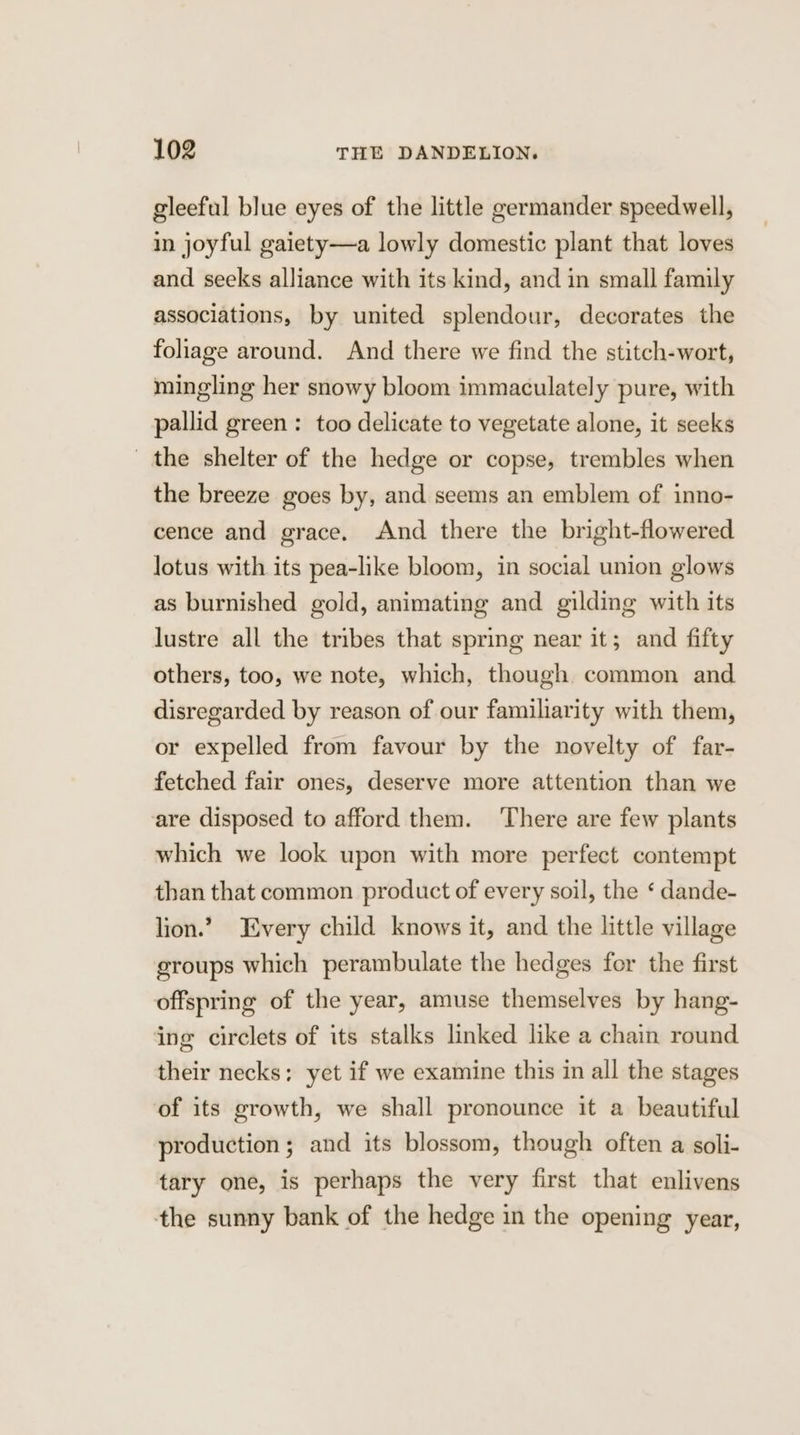 gleeful blue eyes of the little germander speedwell, in joyful gaiety—a lowly domestic plant that loves and seeks alliance with its kind, and in small family associations, by united splendour, decorates the foliage around. And there we find the stitch-wort, mingling her snowy bloom immaculately pure, with pallid green : too delicate to vegetate alone, it seeks the shelter of the hedge or copse, trembles when the breeze goes by, and seems an emblem of inno- cence and grace. And there the bright-flowered lotus with its pea-like bloom, in social union glows as burnished gold, animating and gilding with its lustre all the tribes that spring near it; and fifty others, too, we note, which, though common and disregarded by reason of our familiarity with them, or expelled from favour by the novelty of far- fetched fair ones, deserve more attention than we are disposed to afford them. ‘There are few plants which we look upon with more perfect contempt than that common product of every soil, the ‘ dande- lion.’ Every child knows it, and the little village groups which perambulate the hedges for the first offspring of the year, amuse themselves by hang- ing circlets of its stalks linked like a chain round their necks: yet if we examine this in all the stages of its growth, we shall pronounce it a beautiful production ; and its blossom, though often a soli- tary one, is perhaps the very first that enlivens the sunny bank of the hedge in the opening year,