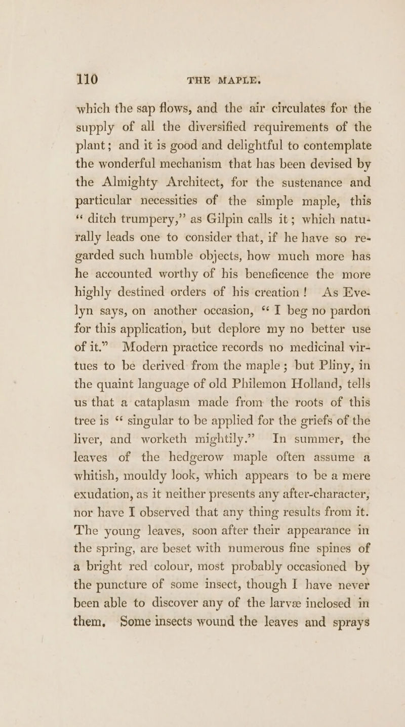 which the sap flows, and the air circulates for the supply of all the diversified requirements of the plant; and it is good and delightful to contemplate the wonderful mechanism that has been devised by the Almighty Architect, for the sustenance and particular necessities of the simple maple, this ‘‘ ditch trumpery,” as Gilpin calls it; which natu- rally leads one to consider that, if he have so re- garded such humble objects, how much more has he accounted worthy of his beneficence the more highly destined orders of his creation! As Eve- lyn says, on another occasion, ‘* I beg no pardon for this application, but deplore my no better use of it.” Modern practice records no medicinal vir- tues to be derived from the maple; but Pliny, in the quaint language of old Philemon Holland, tells us that a cataplasm made from the roots of this tree is ** singular to be applied for the griefs of the liver, and worketh mightily.” In summer, the leaves of the hedgerow maple often assume a whitish, mouldy look, which appears to be a mere exudation, as it neither presents any after-character, nor have I observed that any thing results from it. The young leaves, soon after their appearance in the spring, are beset with numerous fine spines of a bright red colour, most probably occasioned by the puncture of some insect, though I have never been able to discover any of the larve inclosed in them, Some insects wound the leaves and sprays