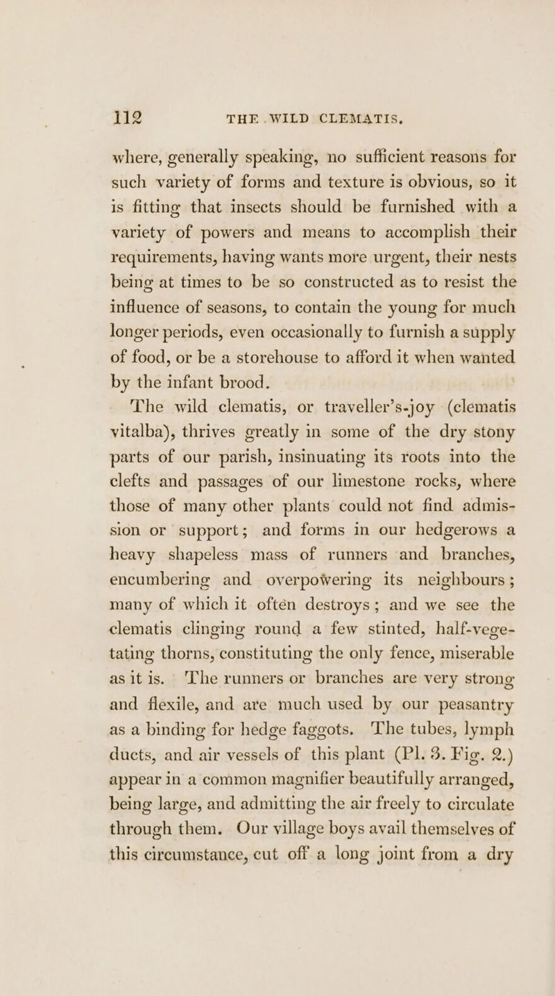 where, generally speaking, no sufficient reasons for such variety of forms and texture is obvious, so it is fitting that insects should be furnished with a variety of powers and means to accomplish their requirements, having wants more urgent, their nests being at times to be so constructed as to resist the influence of seasons, to contain the young for much longer periods, even occasionally to furnish a supply of food, or be a storehouse to afford it when wanted by the infant brood. The wild clematis, or traveller’s-joy (clematis vitalba), thrives greatly in some of the dry stony parts of our parish, insinuating its roots into the clefts and passages of our limestone rocks, where those of many other plants could not find admis- sion or support; and forms in our hedgerows a heavy shapeless mass of runners and _ branches, encumbering and overpowering its neighbours ; many of which it often destroys; and we see the clematis clinging round a few stinted, half-vege- tating thorns, constituting the only fence, miserable as it is. The runners or branches are very strong and flexile, and are much used by our peasantry as a binding for hedge faggots. ‘The tubes, lymph ducts, and air vessels of this plant (Pl. 3. Fig. 2.) appear in a common magnifier beautifully arranged, being large, and admitting the air freely to circulate through them. Our village boys avail themselves of this circumstance, cut off a long joint from a dry