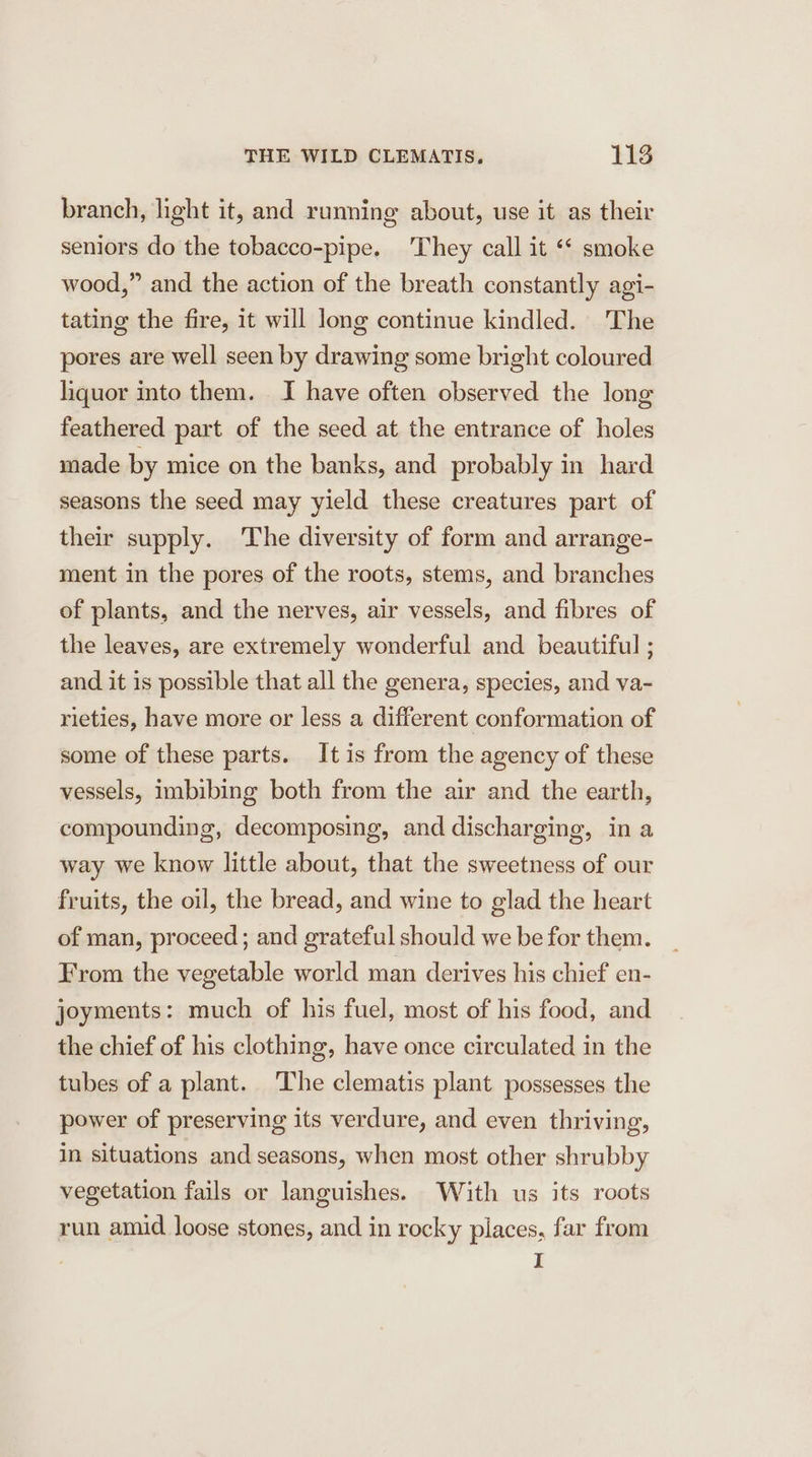 branch, light it, and running about, use it as their seniors do the tobacco-pipe. They call it ‘* smoke wood,” and the action of the breath constantly agi- tating the fire, it will long continue kindled. The pores are well seen by drawing some bright coloured liquor into them. I have often observed the long feathered part of the seed at the entrance of holes made by mice on the banks, and probably in hard seasons the seed may yield these creatures part of their supply. The diversity of form and arrange- ment in the pores of the roots, stems, and branches of plants, and the nerves, air vessels, and fibres of the leaves, are extremely wonderful and beautiful ; and it is possible that all the genera, species, and va- rieties, have more or less a different conformation of some of these parts. It is from the agency of these vessels, imbibing both from the air and the earth, compounding, decomposing, and discharging, in a way we know little about, that the sweetness of our fruits, the oil, the bread, and wine to glad the heart of man, proceed ; and grateful should we be for them. From the vegetable world man derives his chief en- joyments: much of his fuel, most of his food, and the chief of his clothing, have once circulated in the tubes of a plant. The clematis plant possesses the power of preserving its verdure, and even thriving, in situations and seasons, when most other shrubby vegetation fails or languishes. With us its roots run amid loose stones, and in rocky places, far from I