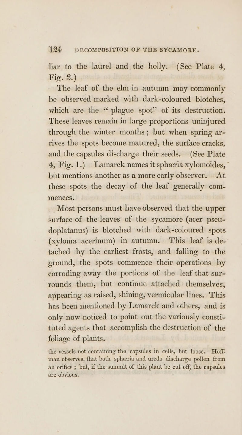 liar to the laurel and the holly. (See Plate 4, Fig. 2.) The leaf of the elm in autumn may commonly be observed marked with dark-coloured blotches, which are the ‘ plague spot’ of its destruction. These leaves remain in large proportions uninjured through the winter months; but when spring ar- rives the spots become matured, the surface cracks, and the capsules discharge their seeds. (See Plate 4, Fig. 1.) Lamarck names it spheeria xylomoides, © but mentions another as a more early observer. At these spots the decay of the leaf generally com- mences. Most persons must have observed that the upper surface of the leaves of the sycamore (acer pseu- doplatanus) is blotched with dark-coloured spots (xyloma acerinum) in autumn. ‘This leaf is de- tached by the earliest frosts, and falling to the ground, the spots commence their operations by corroding away the portions of the leaf that sur- rounds them, but continue attached themselves, appearing as raised, shining, vermicular lines. 'This has been mentioned by Lamarck and others, and is only now noticed to point out the variously consti- tuted agents that accomplish the destruction of the foliage of plants. the vessels not containing the capsules in cells, but loose. Hoff man observes, that both sphzria and uredo discharge pollen from an orifice ; but, if the summit of this plant be cut off, the capsules are obvious.
