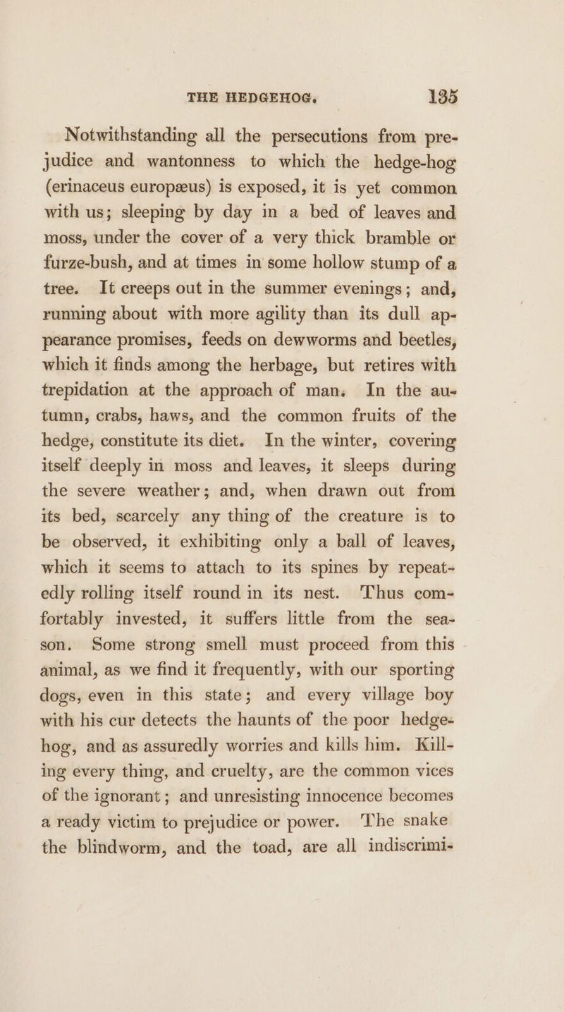 Notwithstanding all the persecutions from pre- judice and wantonness to which the hedge-hog (erinaceus europeeus) is exposed, it is yet common with us; sleeping by day in a bed of leaves and moss, under the cover of a very thick bramble or furze-bush, and at times in some hollow stump of a tree. It creeps out in the summer evenings; and, running about with more agility than its dull ap- pearance promises, feeds on dewworms and beetles, which it finds among the herbage, but retires with trepidation at the approach of man. In the au- tumn, crabs, haws, and the common fruits of the hedge, constitute its diet. In the winter, covering itself deeply in moss and leaves, it sleeps during the severe weather; and, when drawn out from its bed, scarcely any thing of the creature is to be observed, it exhibiting only a ball of leaves, which it seems to attach to its spines by repeat- edly rolling itself round in its nest. Thus com- fortably invested, it suffers little from the sea- son. Some strong smell must proceed from this animal, as we find it frequently, with our sporting dogs, even in this state; and every village boy with his cur detects the haunts of the poor hedge- hog, and as assuredly worries and kills him. Kaull- ing every thing, and cruelty, are the common vices of the ignorant ; and unresisting innocence becomes a ready victim to prejudice or power. ‘The snake the blindworm, and the toad, are all indiscrimi-