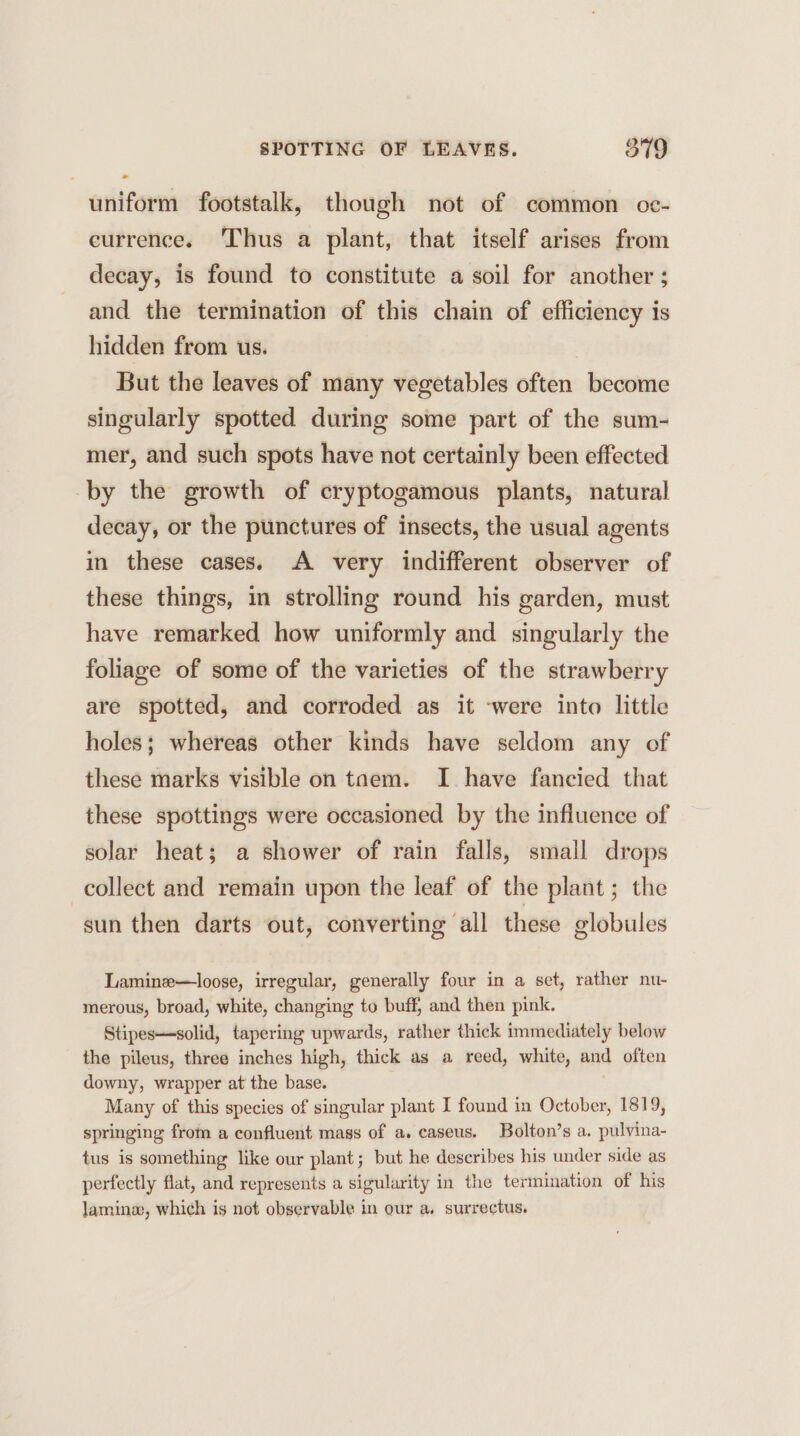 uniform footstalk, though not of common oc- eurrence. ‘Thus a plant, that itself arises from decay, is found to constitute a soil for another ; and the termination of this chain of efficiency is hidden from us. But the leaves of many vegetables often become singularly spotted during some part of the sum- mer, and such spots have not certainly been effected -by the growth of cryptogamous plants, natural decay, or the punctures of insects, the usual agents in these cases. A very indifferent observer of these things, im strolling round his garden, must have remarked how uniformly and singularly the foliage of some of the varieties of the strawberry are spotted, and corroded as it ‘were into little holes; whereas other kinds have seldom any of these marks visible on taem. I have fancied that these spottings were occasioned by the influence of solar heat; a shower of rain falls, small drops collect and remain upon the leaf of the plant; the sun then darts out, converting all these globules Lamine—loose, irregular, generally four in a set, rather nu- merous, broad, white, changing to buff, and then pink. Stipes—solid, tapering upwards, rather thick immediately below the pileus, three inches high, thick as a reed, white, and often downy, wrapper at the base. Many of this species of singular plant I found in October, 1819, springing from a confluent mass of a. caseus. Bolton’s a. pulvina- tus is something like our plant; but he describes his under side as perfectly flat, and represents a sigularity in the termination of his lamin, which is not observable in our a. surrectus.