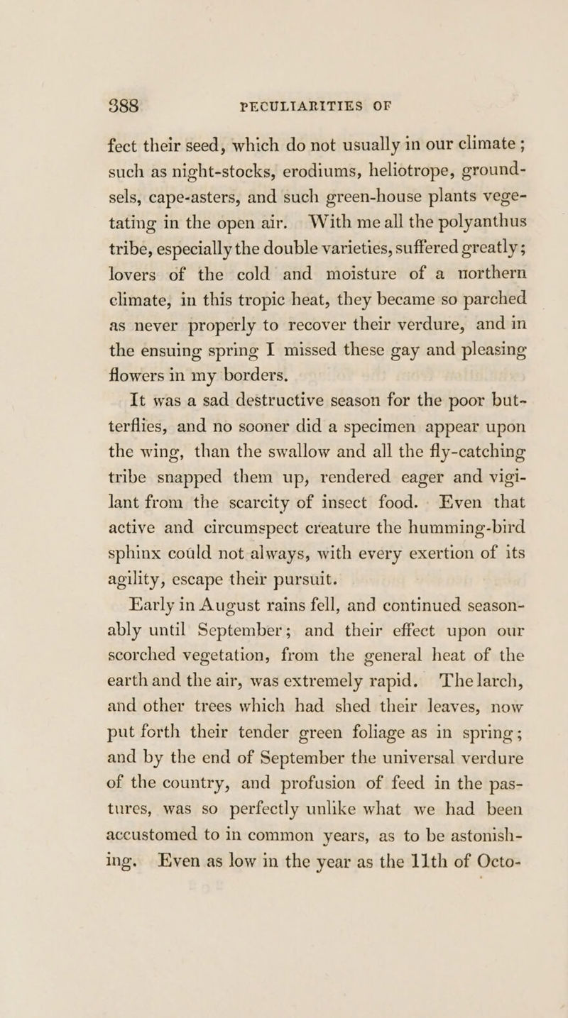 fect their seed, which do not usually in our climate ; such as night-stocks, erodiums, heliotrope, ground- sels, cape-asters, and such green-house plants vege- tating in the open air. With meall the polyanthus tribe, especially the double varieties, suffered greatly ; lovers of the cold and moisture of a northern climate, in this tropic heat, they became so parched as never properly to recover their verdure, and in the ensuing spring I missed these gay and pleasing flowers in my borders. It was a sad destructive season for the poor but- terflies, and no sooner did a specimen appear upon the wing, than the swallow and all the fly-catching tribe snapped them up, rendered eager and vigi- lant from the scarcity of insect food. Even that active and circumspect creature the humming-bird sphinx could not always, with every exertion of its agility, escape their pursuit. Early in August rains fell, and continued season- ably until September; and their effect upon our scorched vegetation, from the general heat of the earth and the air, was extremely rapid. The larch, and other trees which had shed their Jeaves, now put forth their tender green foliage as in spring; and by the end of September the universal verdure of the country, and profusion of feed in the pas- tures, was so perfectly unlike what we had been accustomed to in common years, as to be astonish- ing. Even as low in the year as the 11th of Octo-