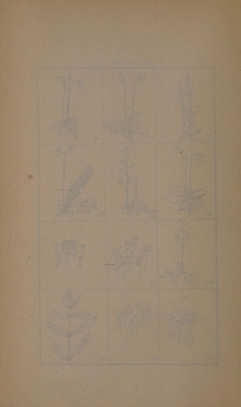 + ‘adel , 4 7 ets ee &amp; UES rarest at en Se ire 5 oy ‘ ‘ ty