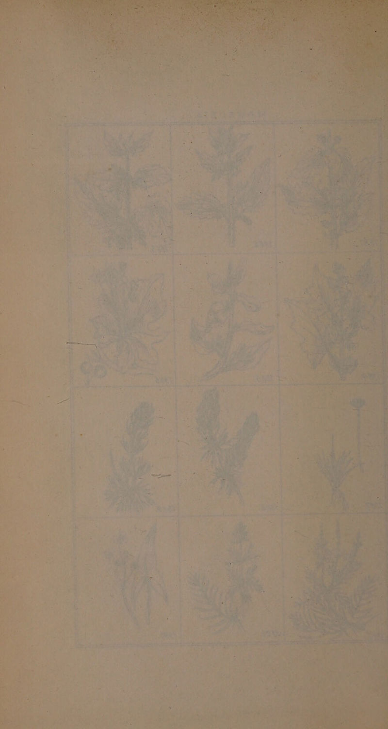 eT eee a ull dy ni-s liaadeas pS